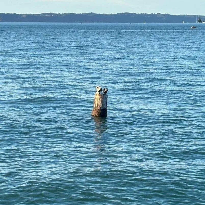 August 18th, 2025 - The Corn Woman, Her Husband, and Their Child