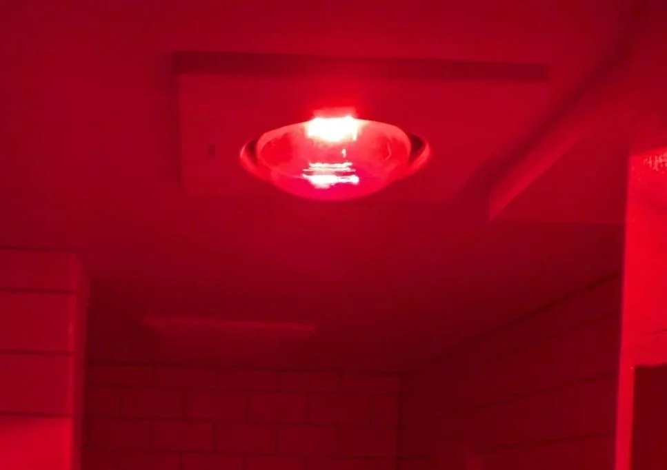 December 15th, 2025 - Understanding the Science