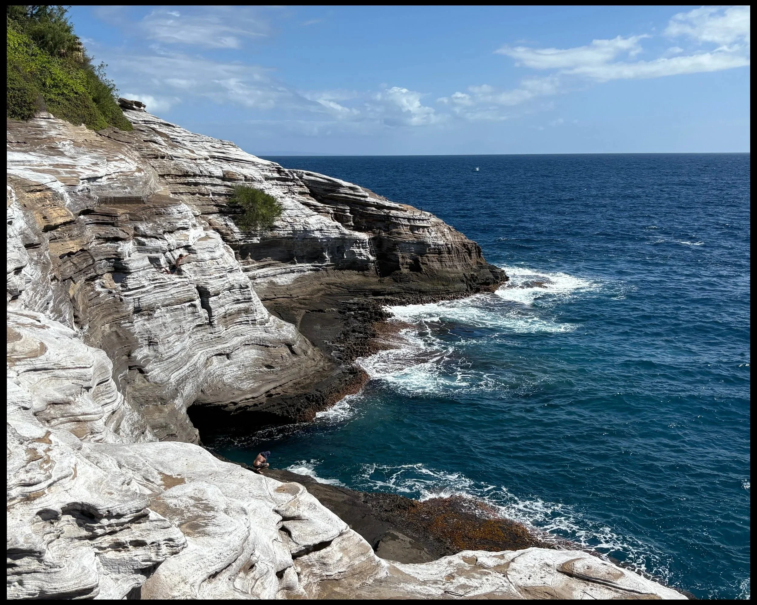 January 26th, 2026 - Light Secrets