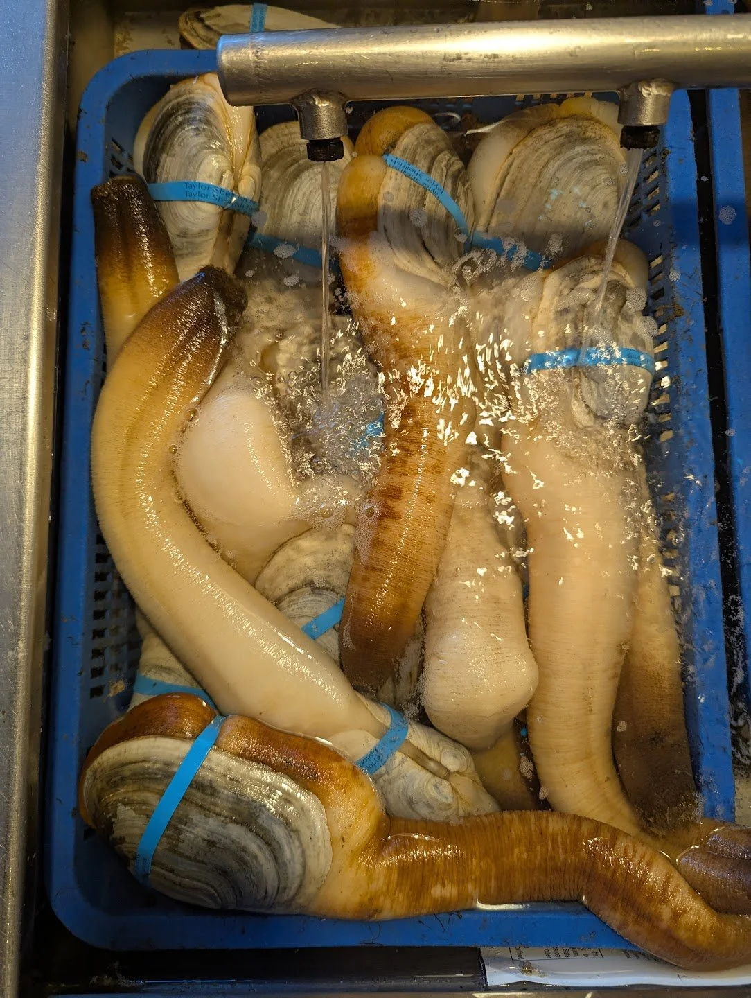 March 9th, 2026 - Calm Sea and Hard Faring