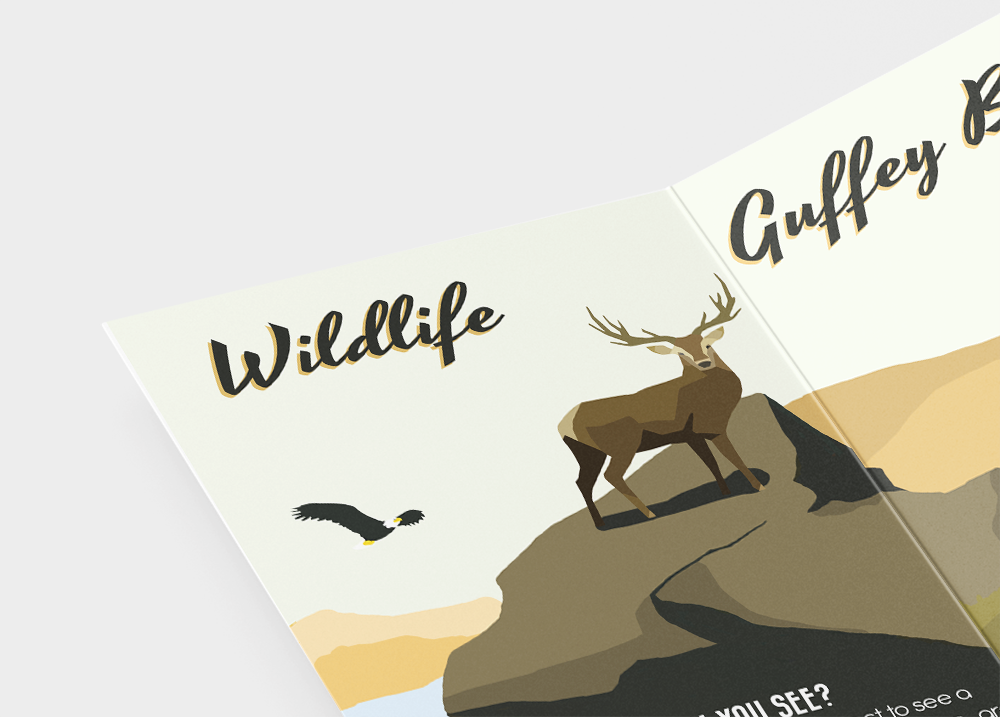 Brochure top left corner.png