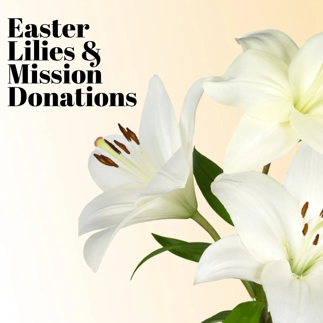 Honor a loved one by purchasing an Easter Lily or making a donation to Summer Missions or our Landscaping Fund. Forms are available at worship entrances or donate online.

🌿 32 lilies still available
📅 Deadline: March 30
🌷 Pickup: After Easter ser