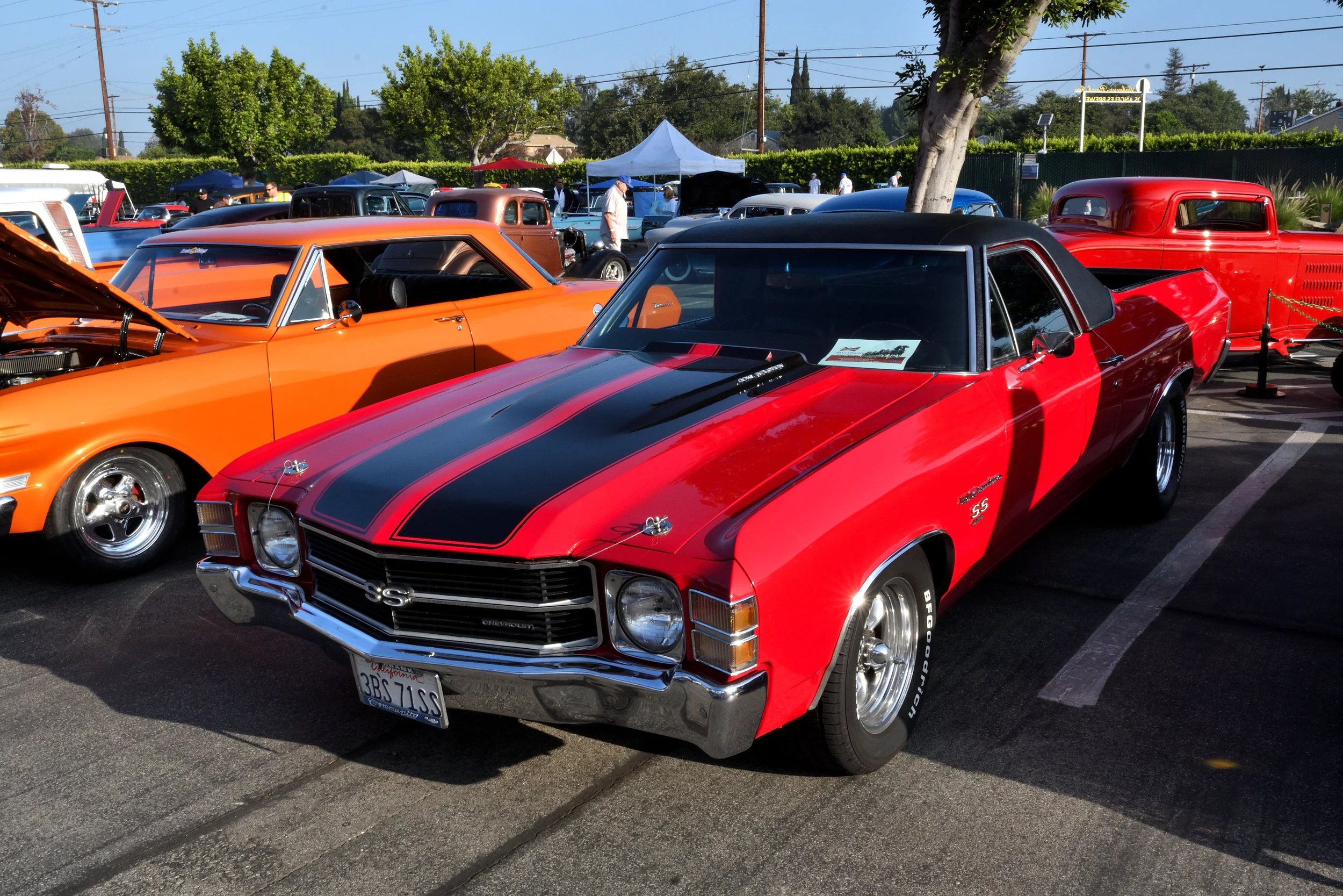DSC_3645.JPG