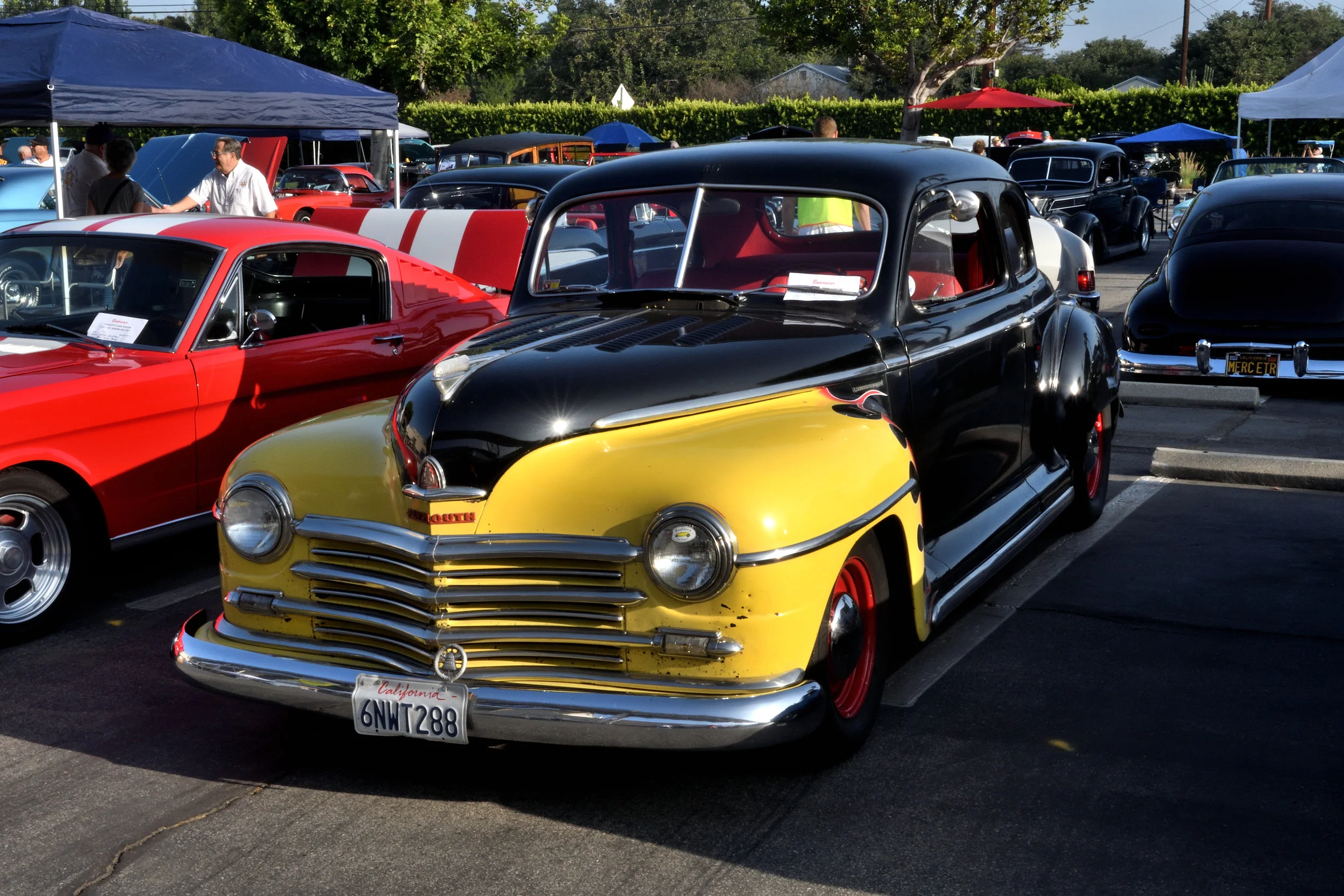 DSC_3651.JPG