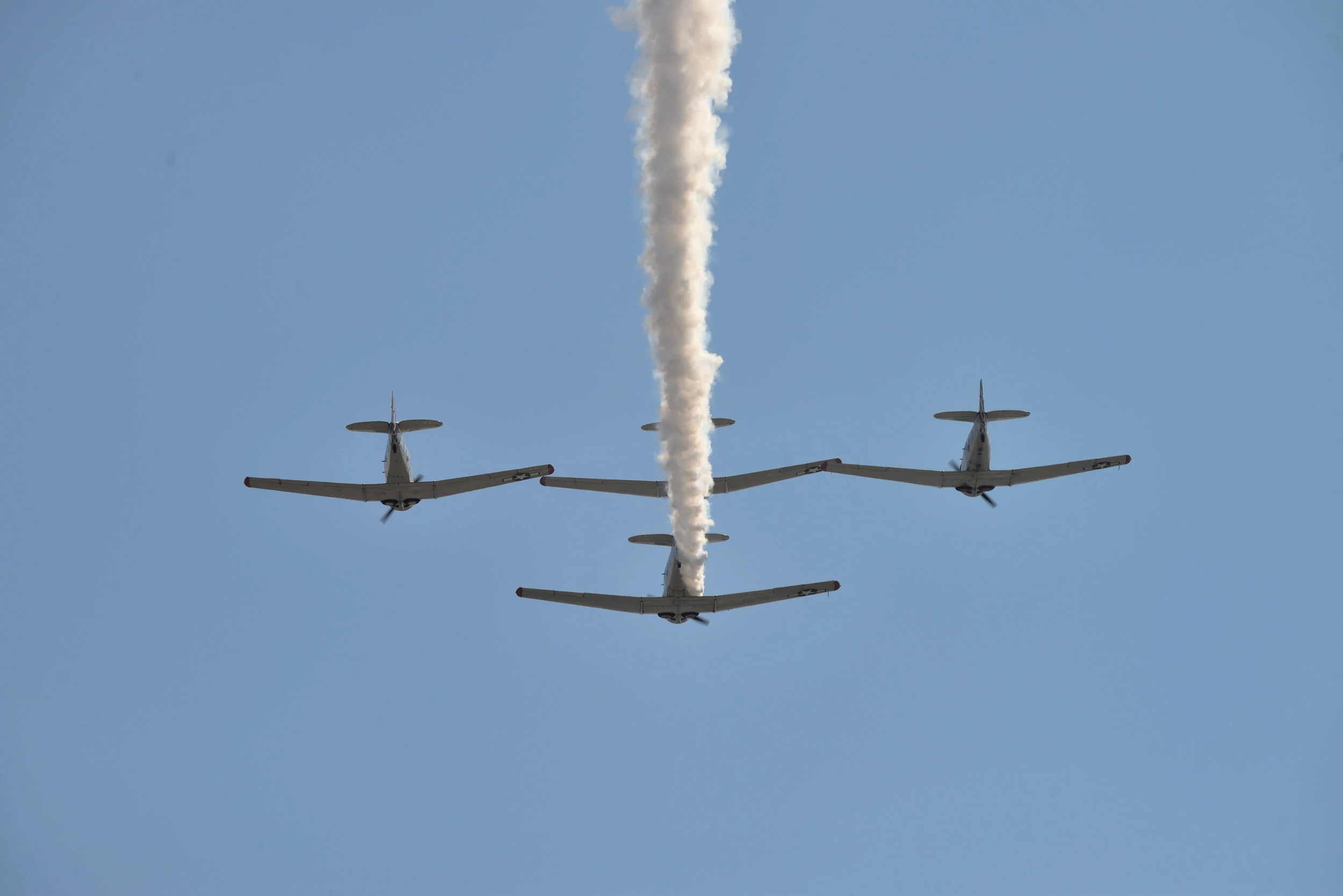 DSC_6331.JPG