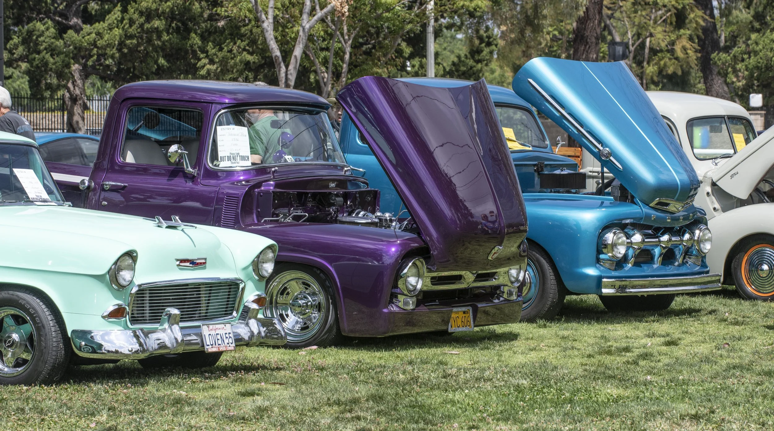 DSC_5037.jpg