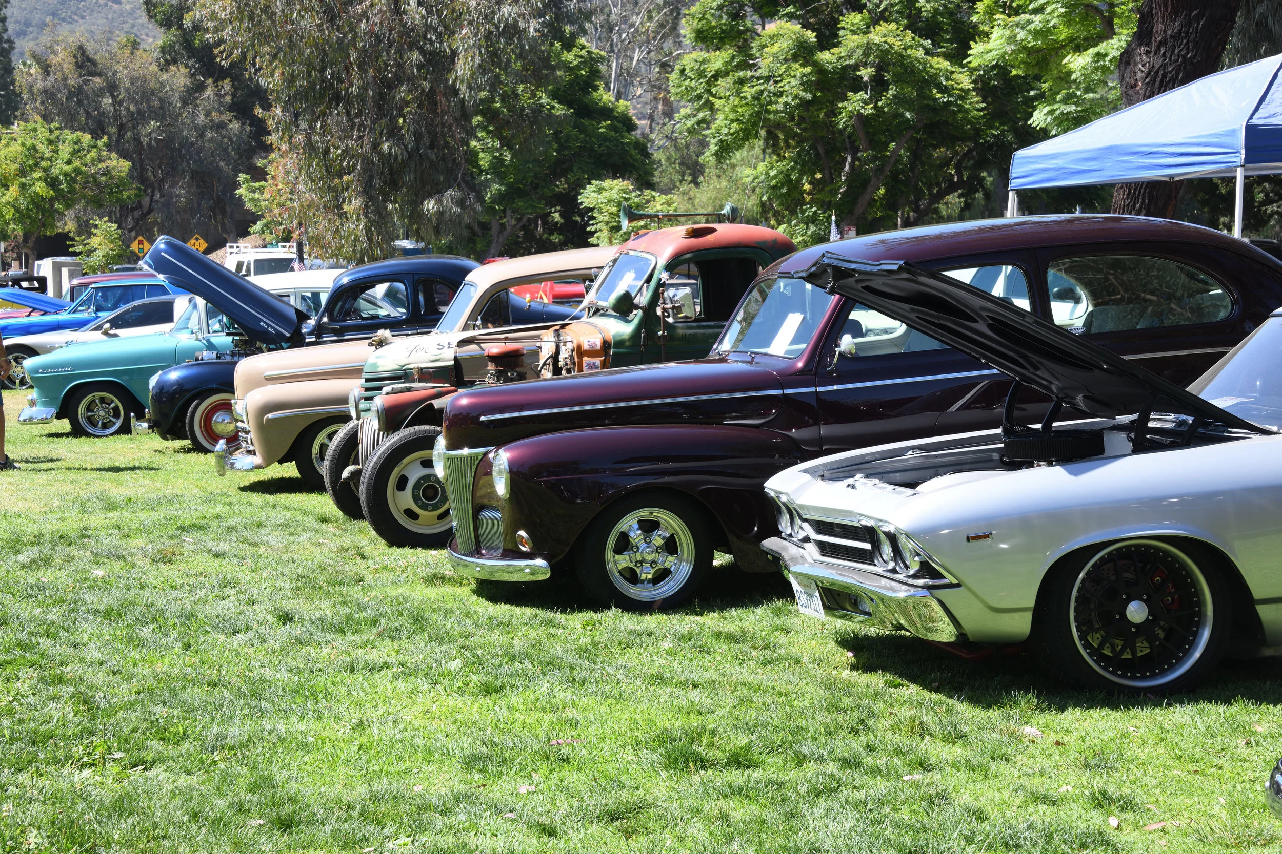 DSC_0854.JPG