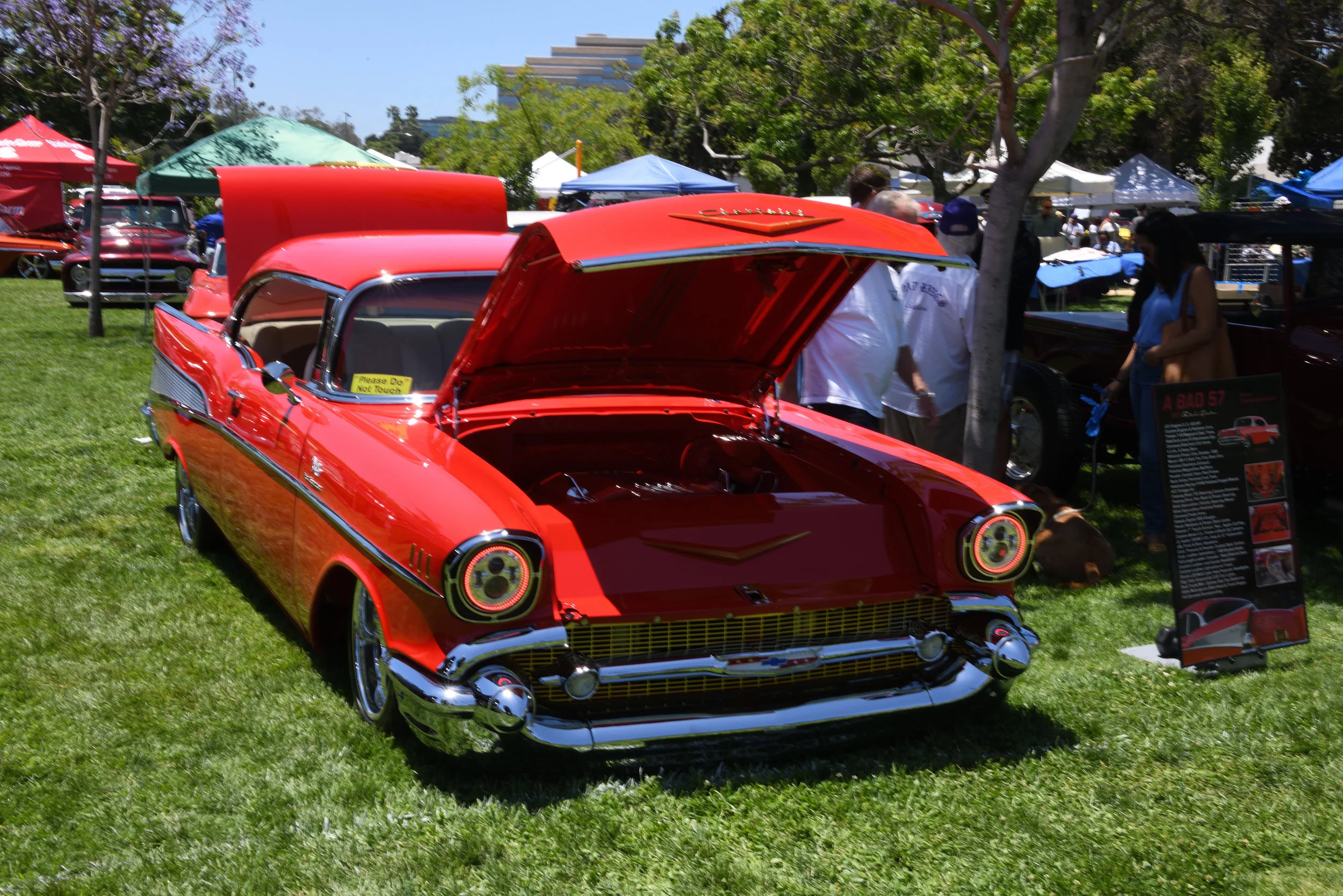 DSC_1107.JPG