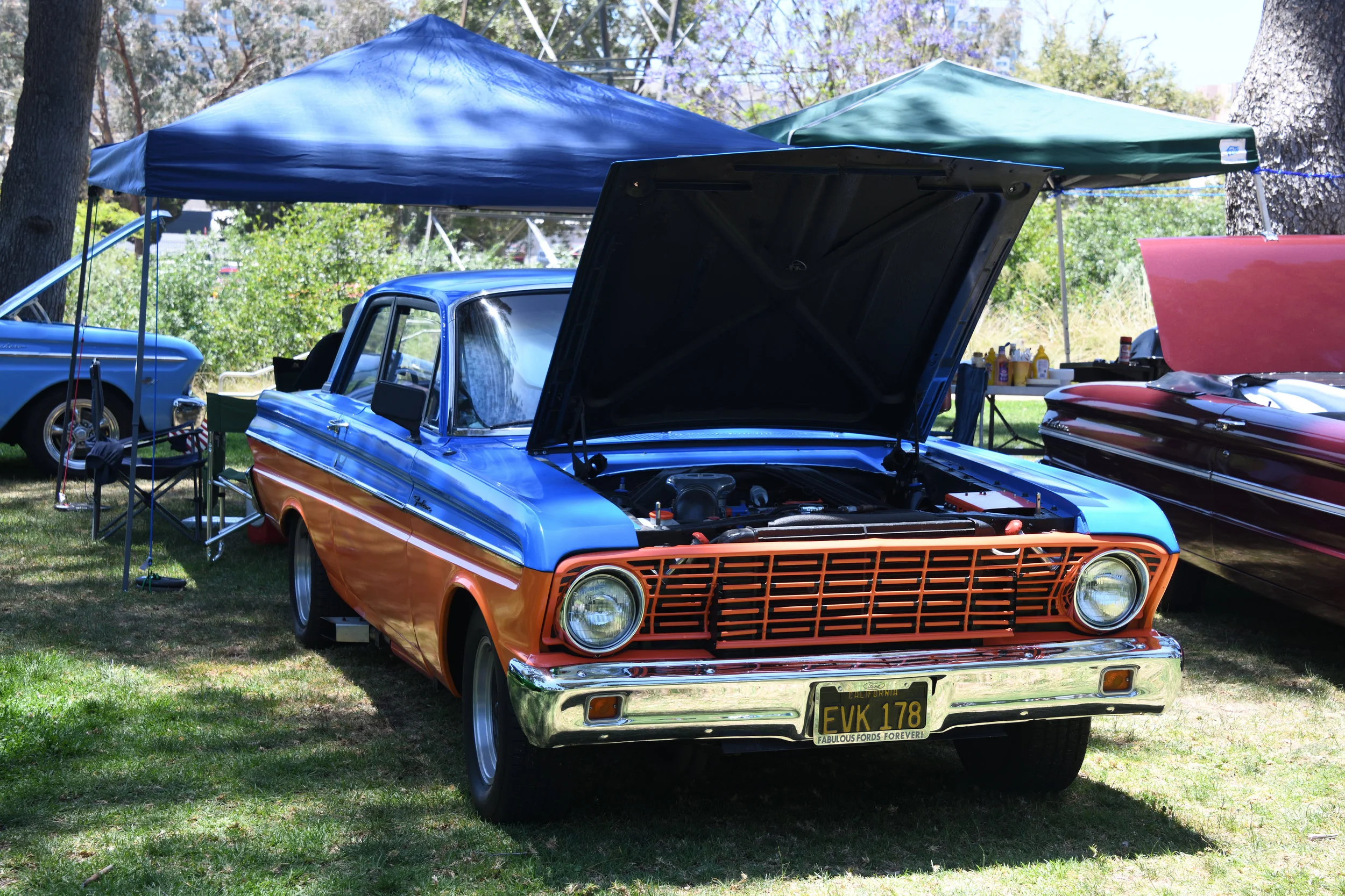 DSC_1158.JPG