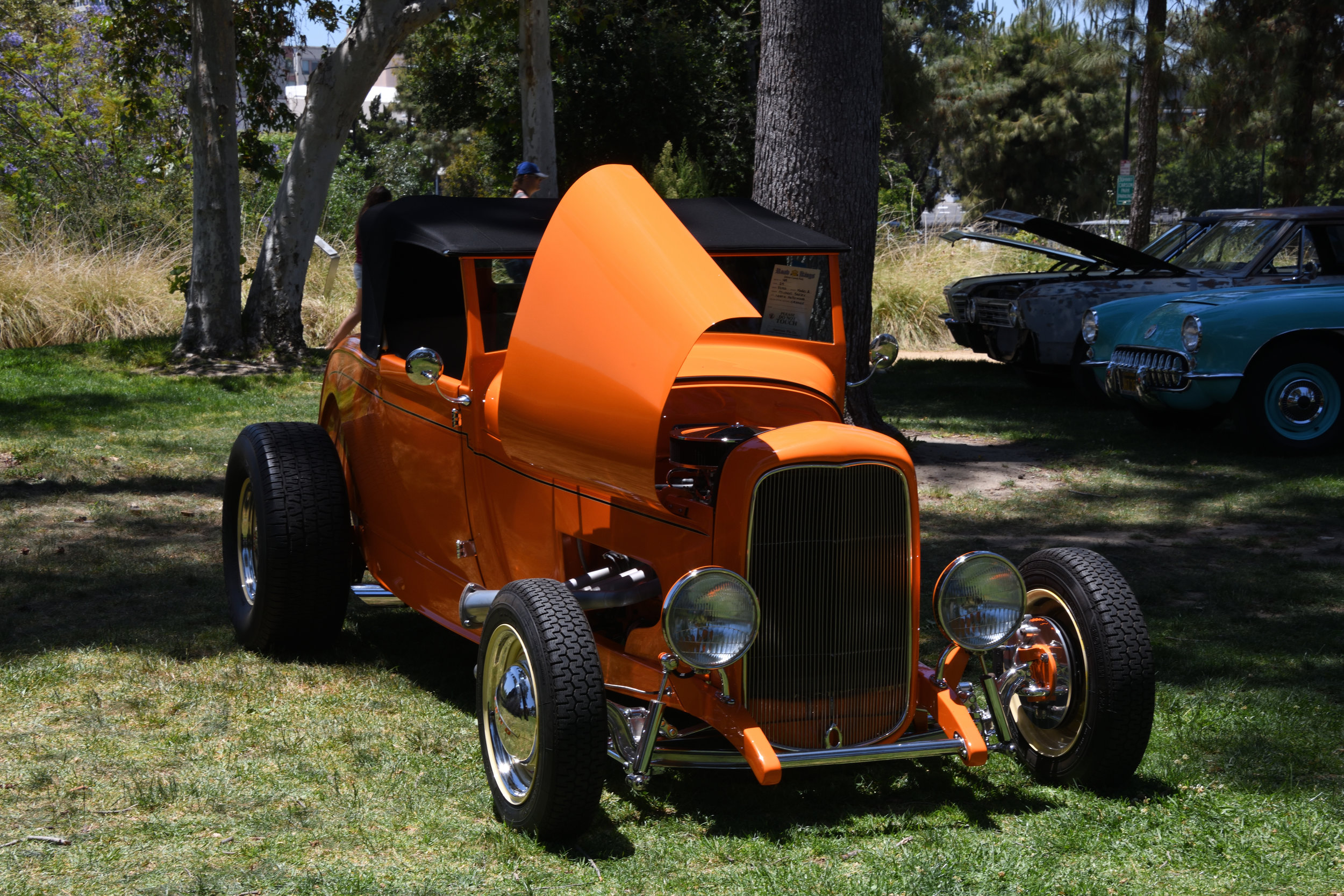 DSC_1160.JPG