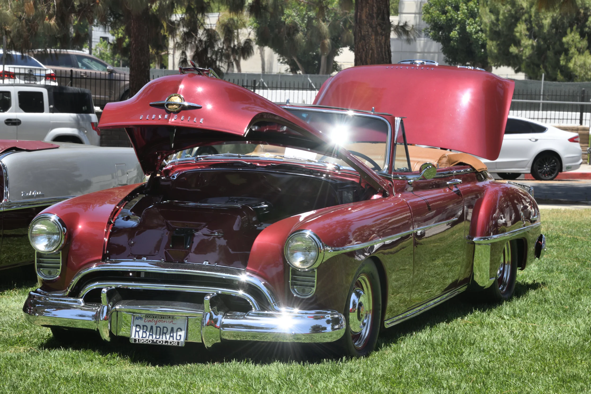 DSC_1165.JPG