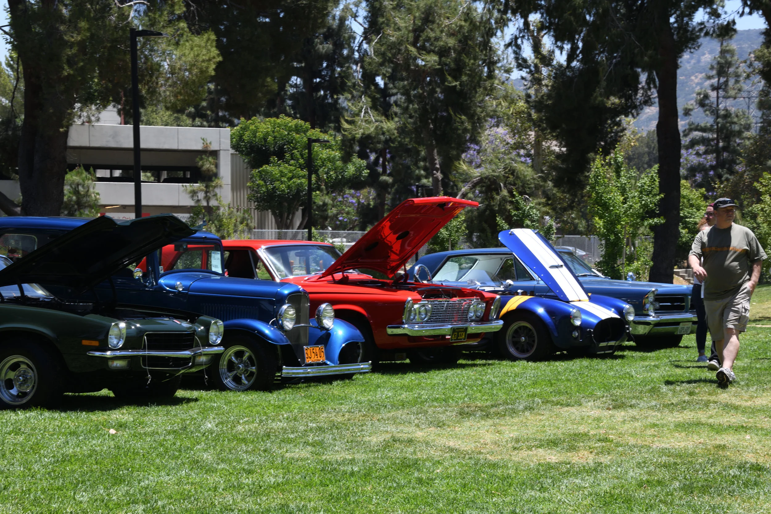 DSC_1179.JPG