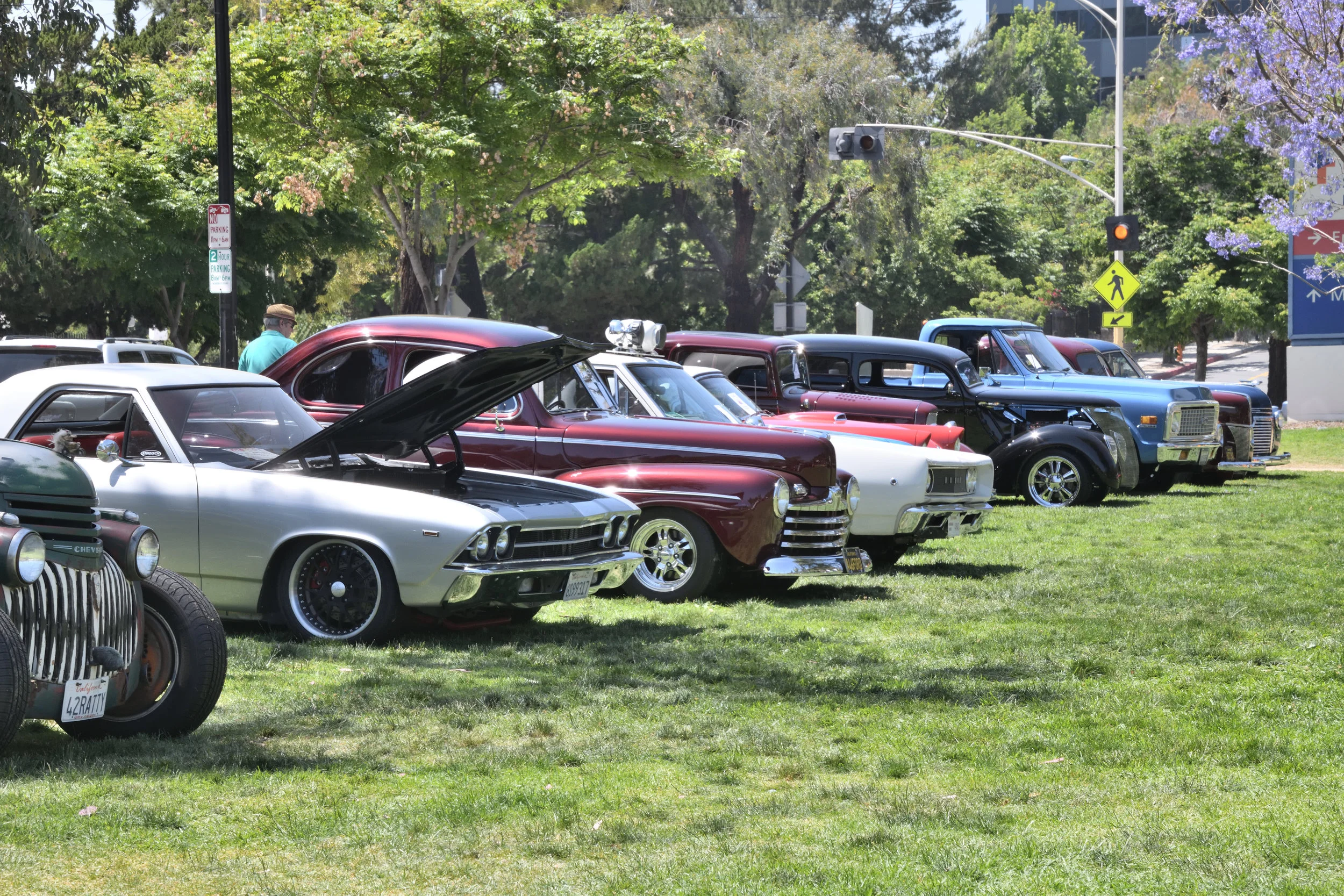 DSC_1265.JPG