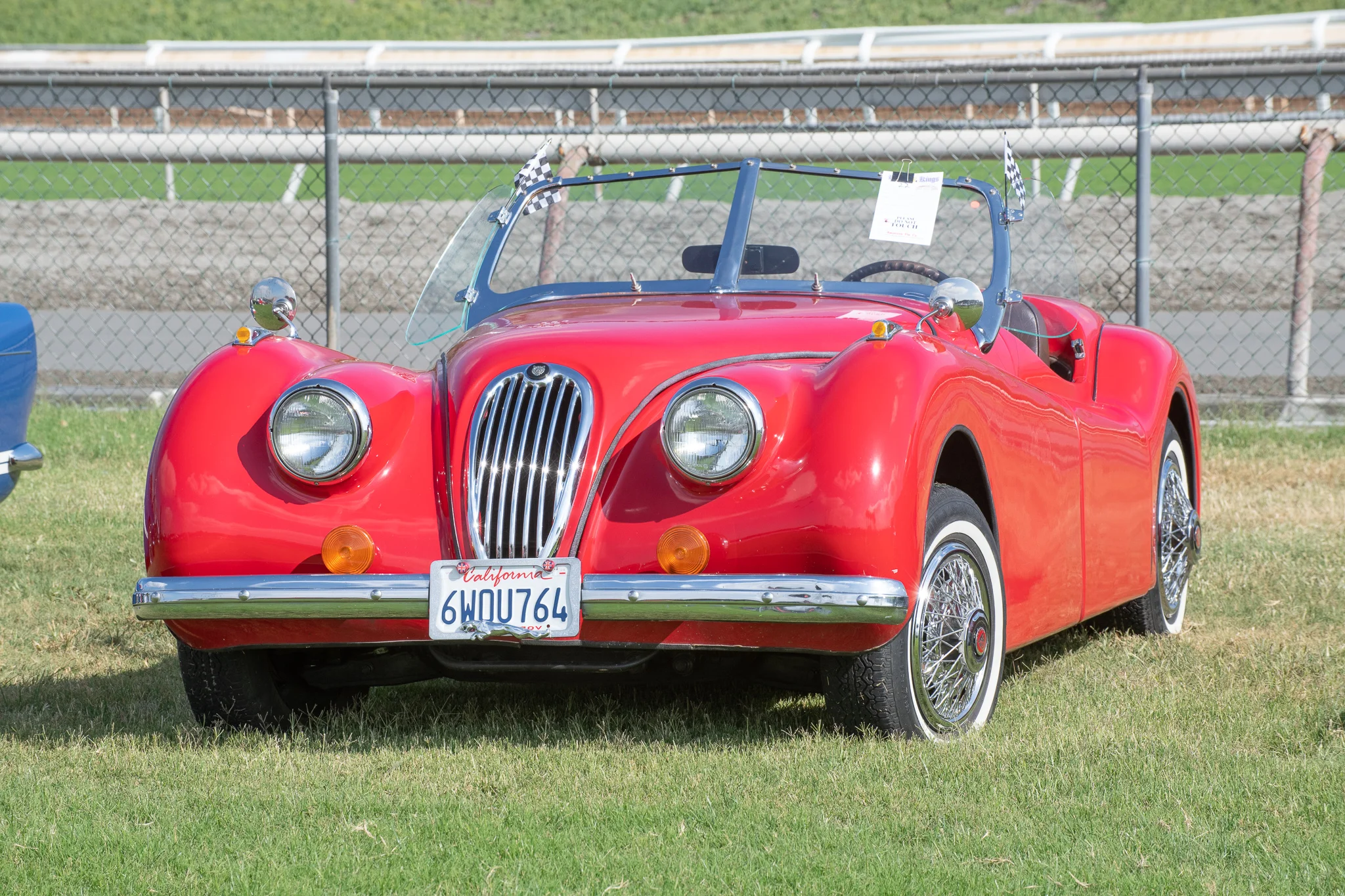 DSC_0488.jpg
