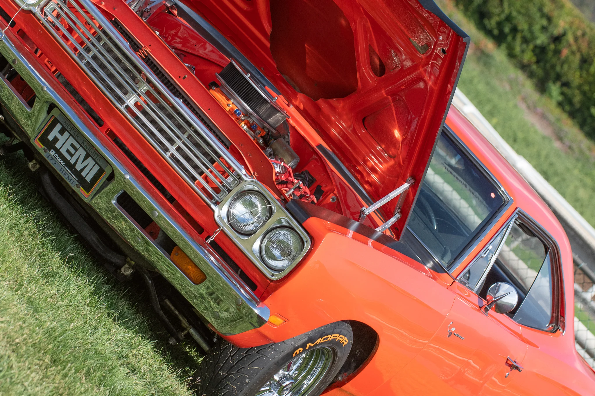 DSC_0494.jpg