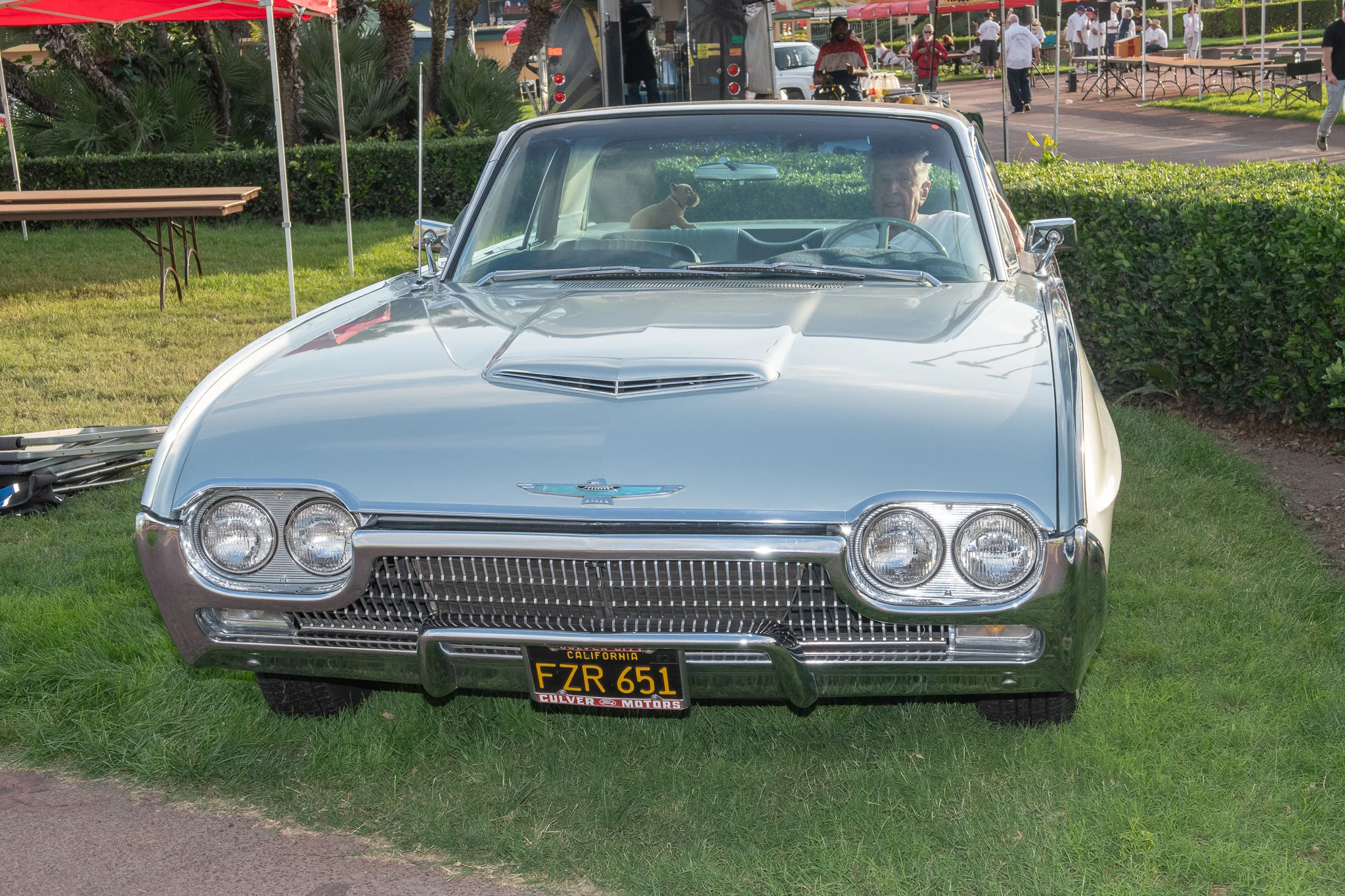 DSC_8950.jpg