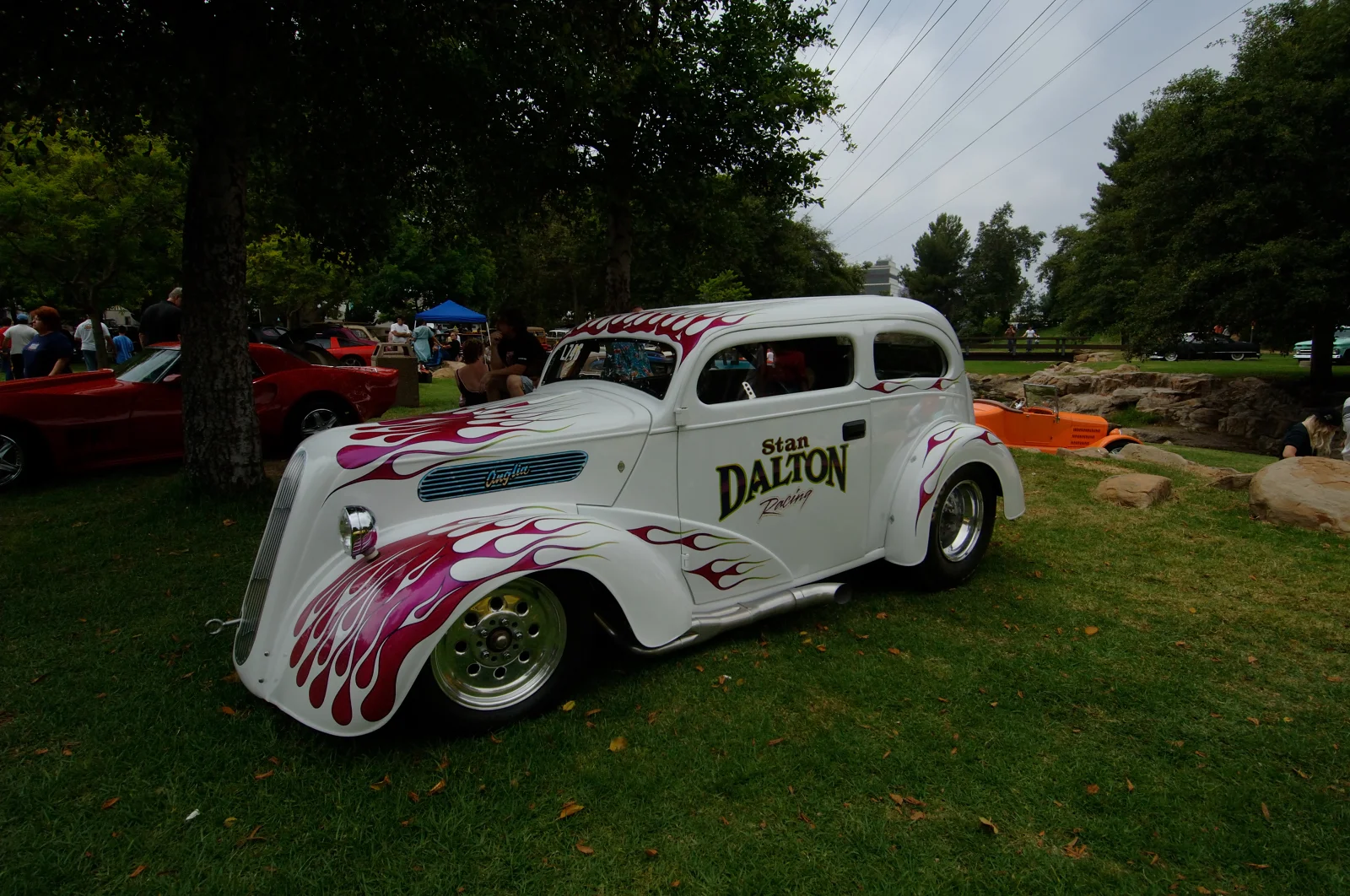 DSC_0080.jpg
