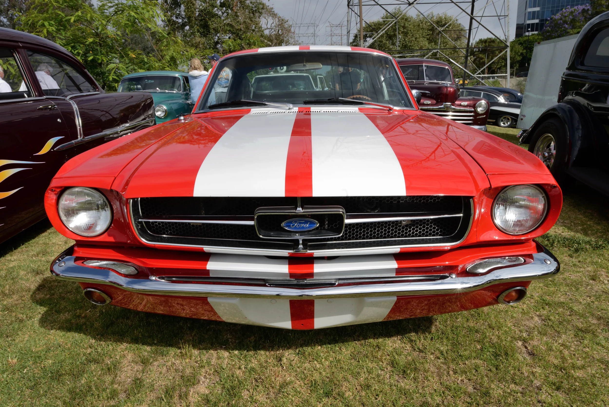 DSC_2231.JPG