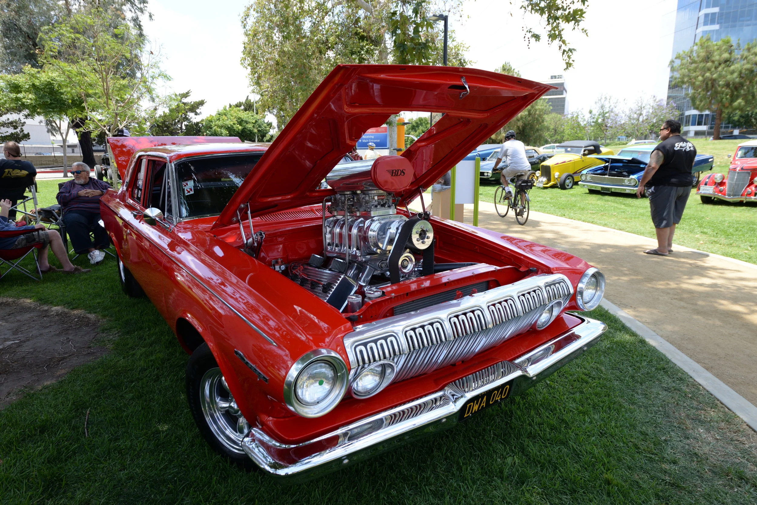 DSC_2344.JPG