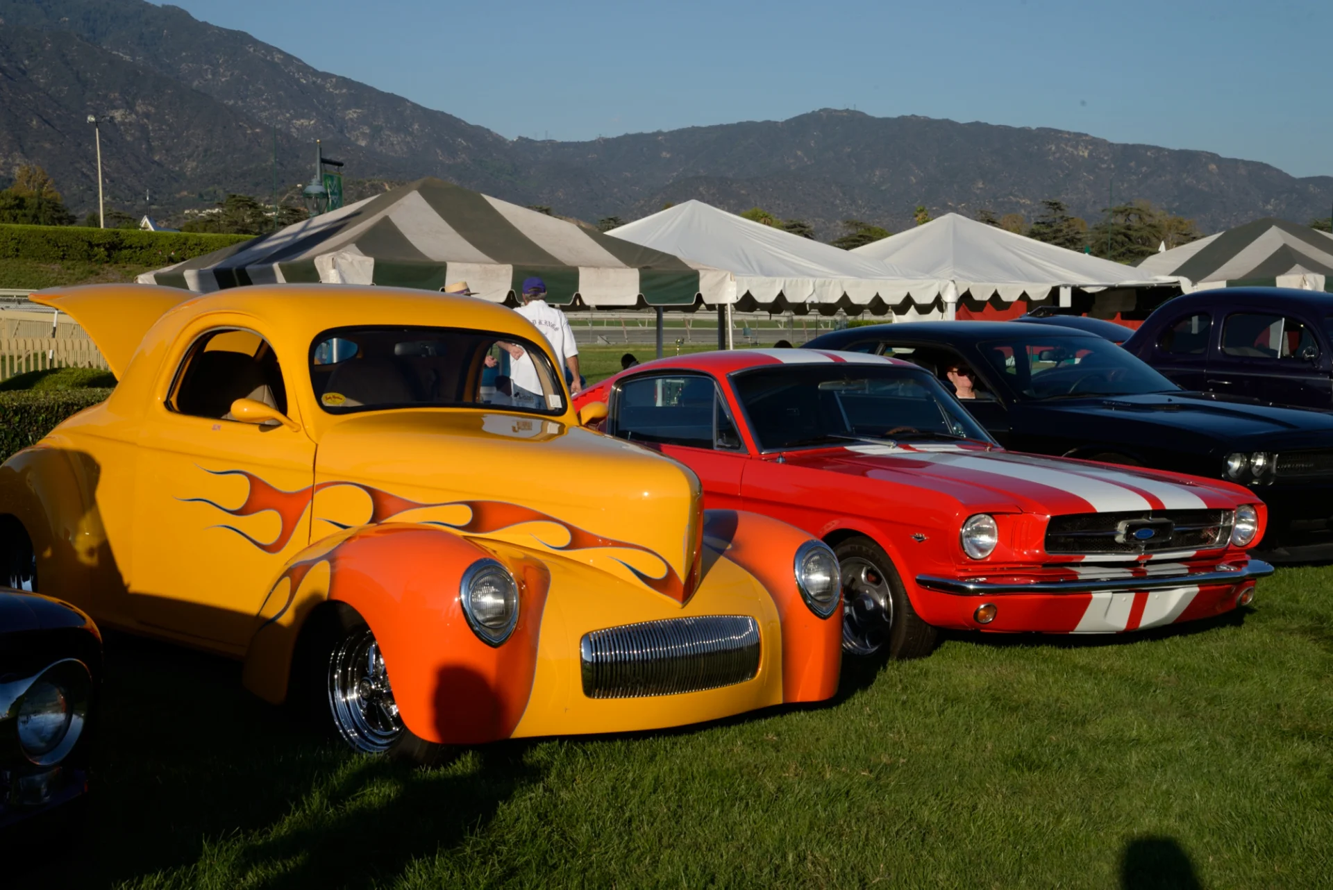 DSC_4430.JPG