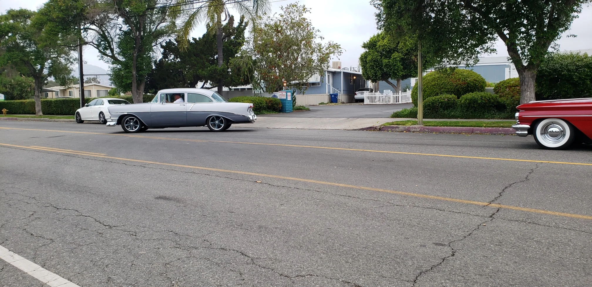 20190505_070116_resized.jpg