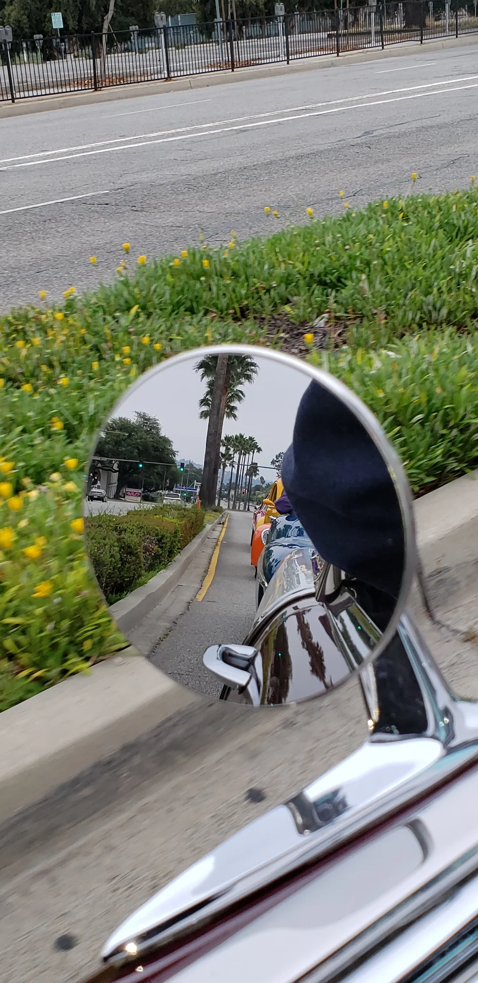 20190602_072129_resized.jpg