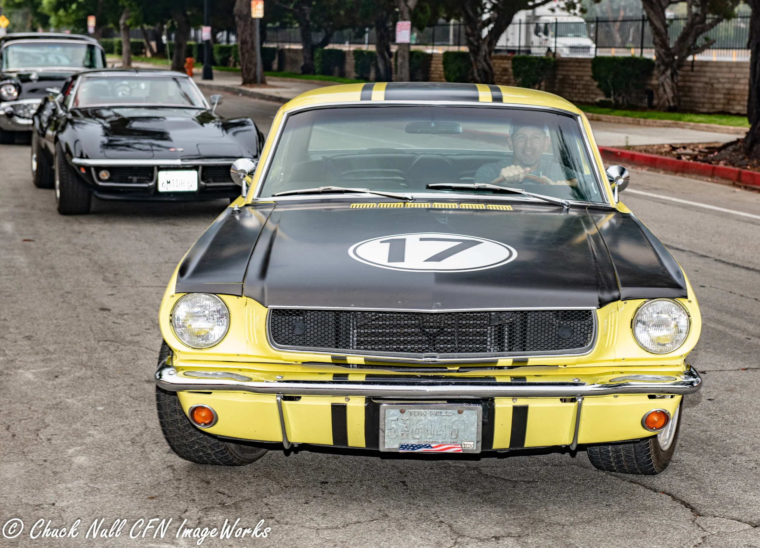 DSC_1589wm.jpg