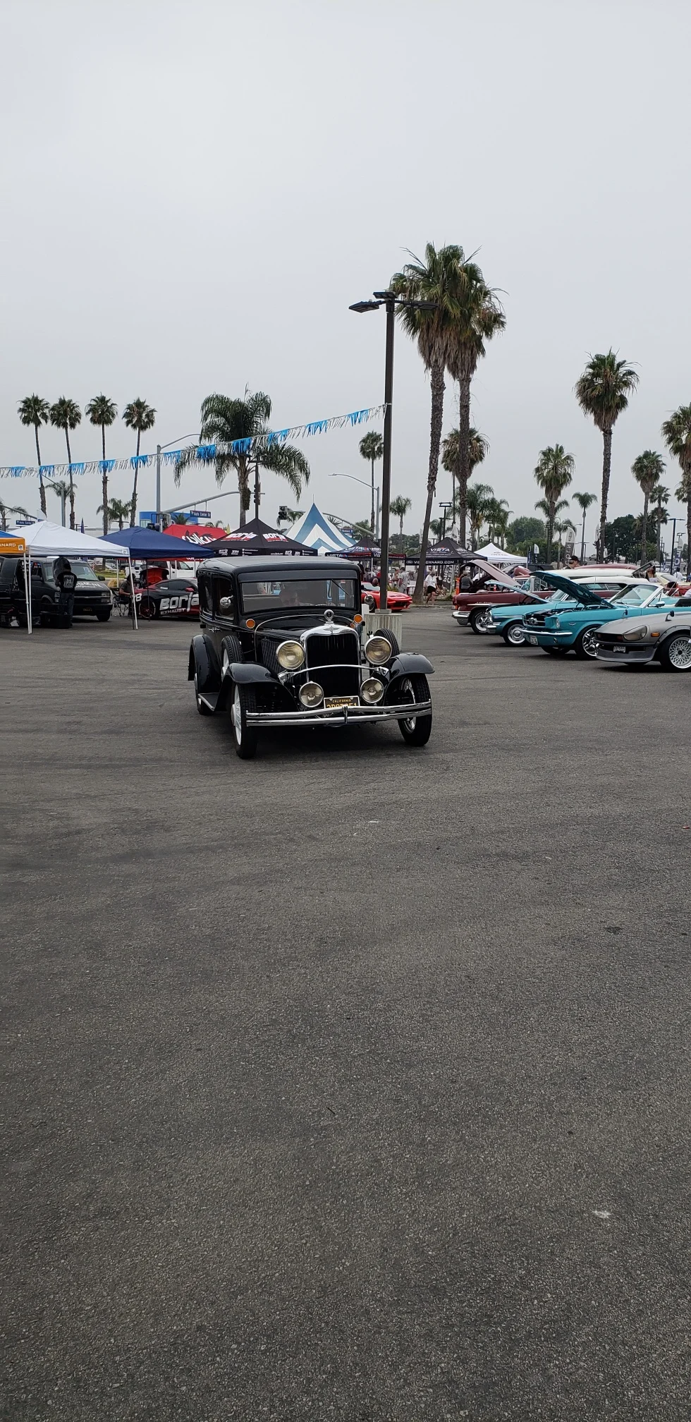 20190714_095747_resized.jpg