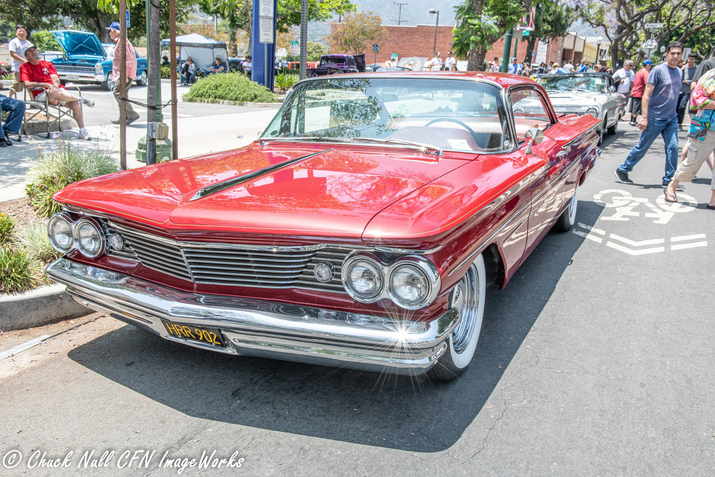 DSC_4118.jpg