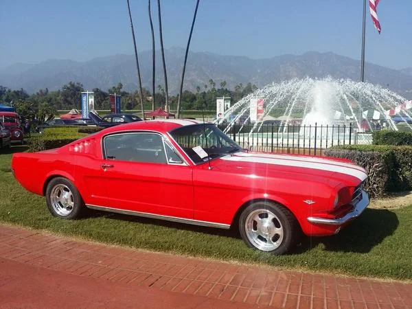 MUSTANG 2.jpg
