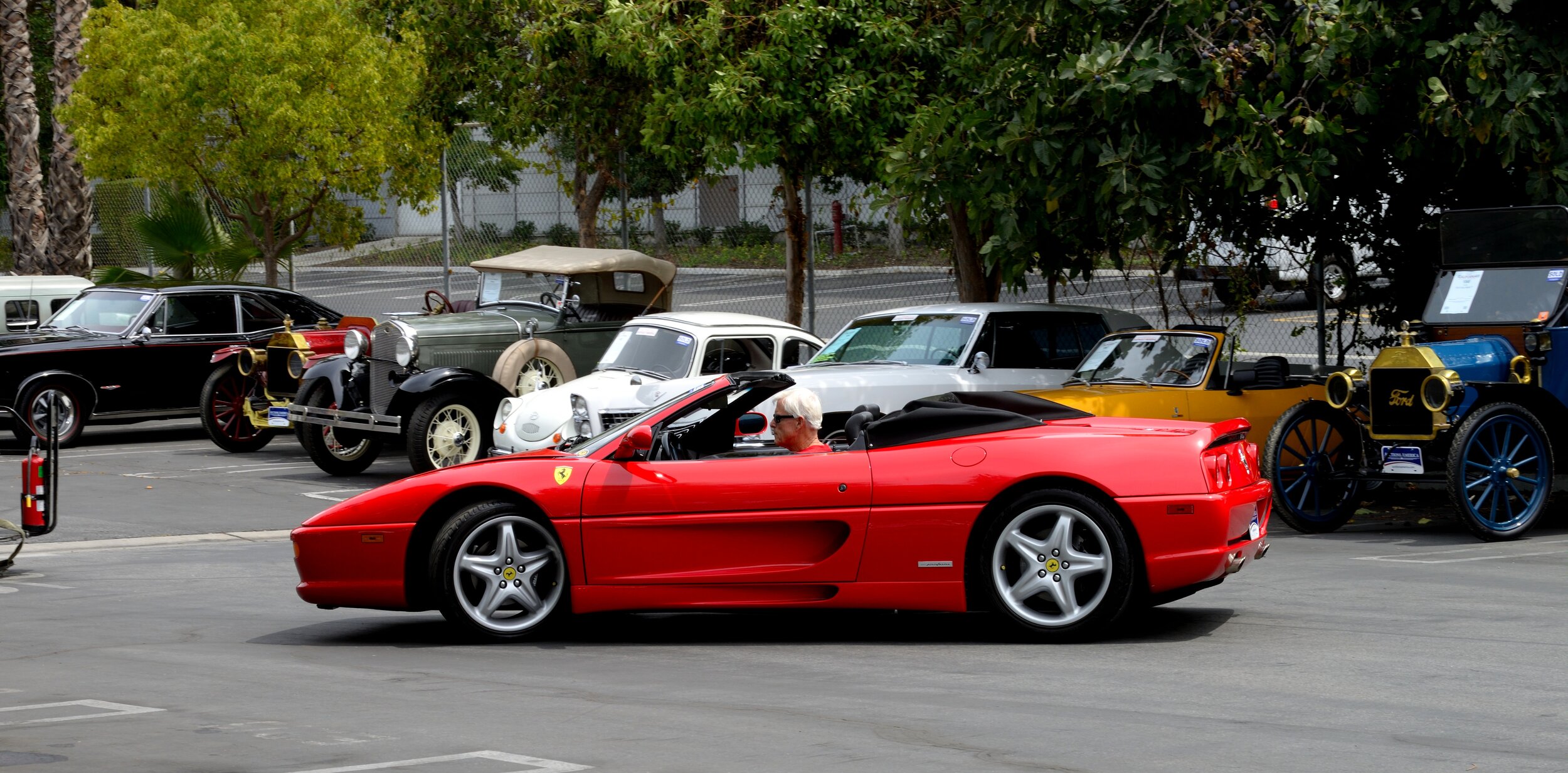 DSC_5597.JPG