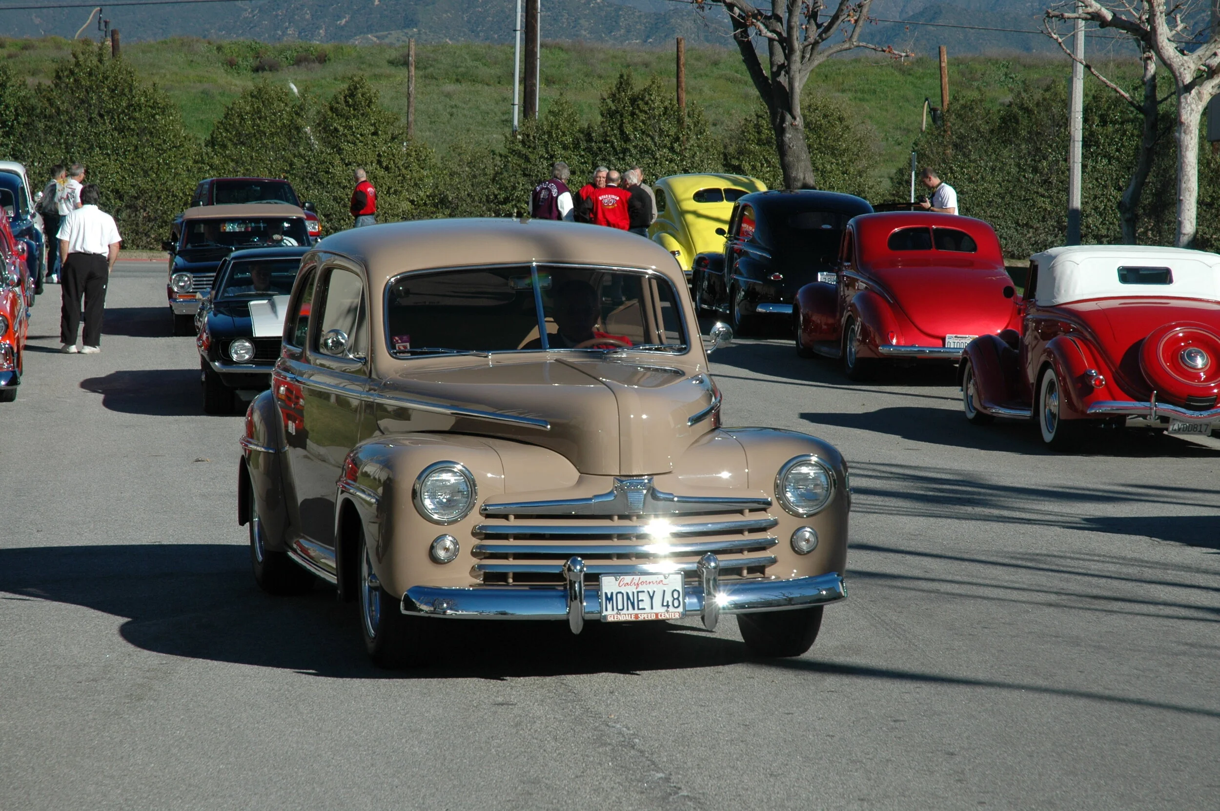 DSC_4433.JPG
