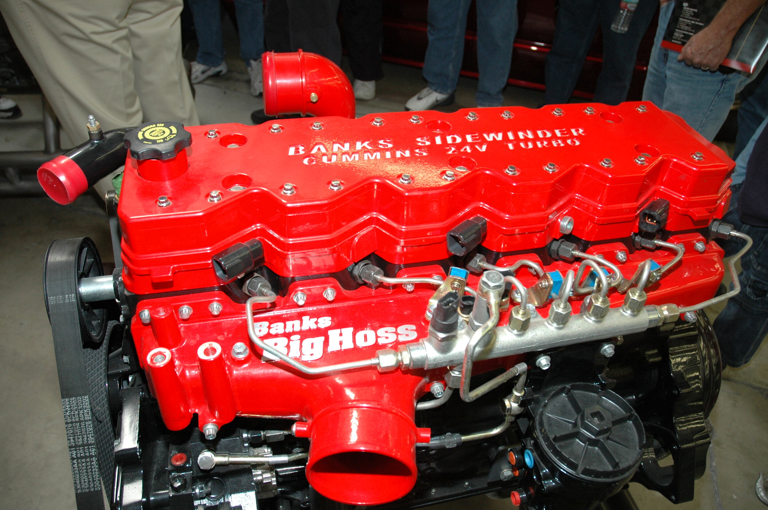 DSC_4497.JPG