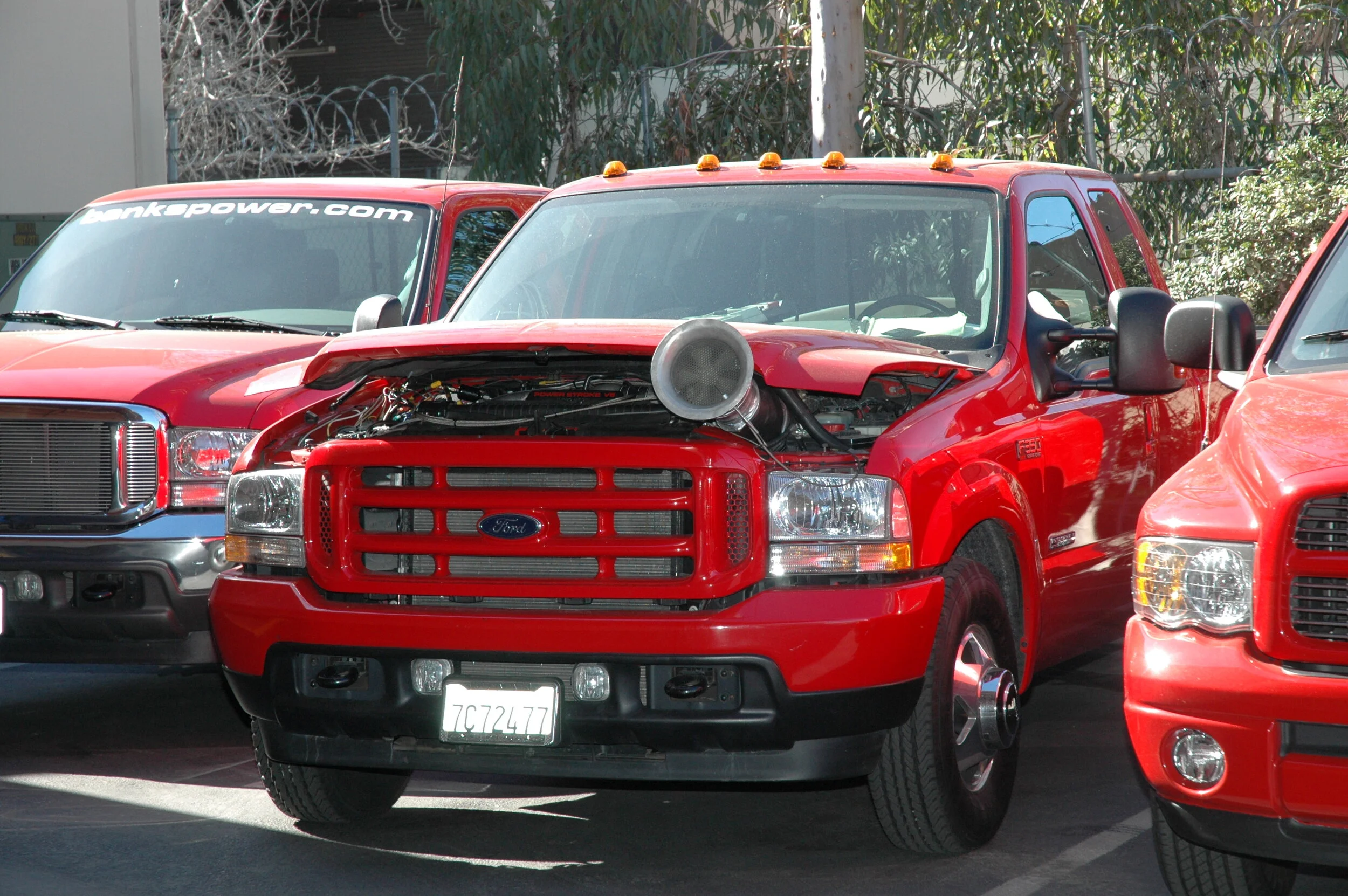 DSC_4545.JPG