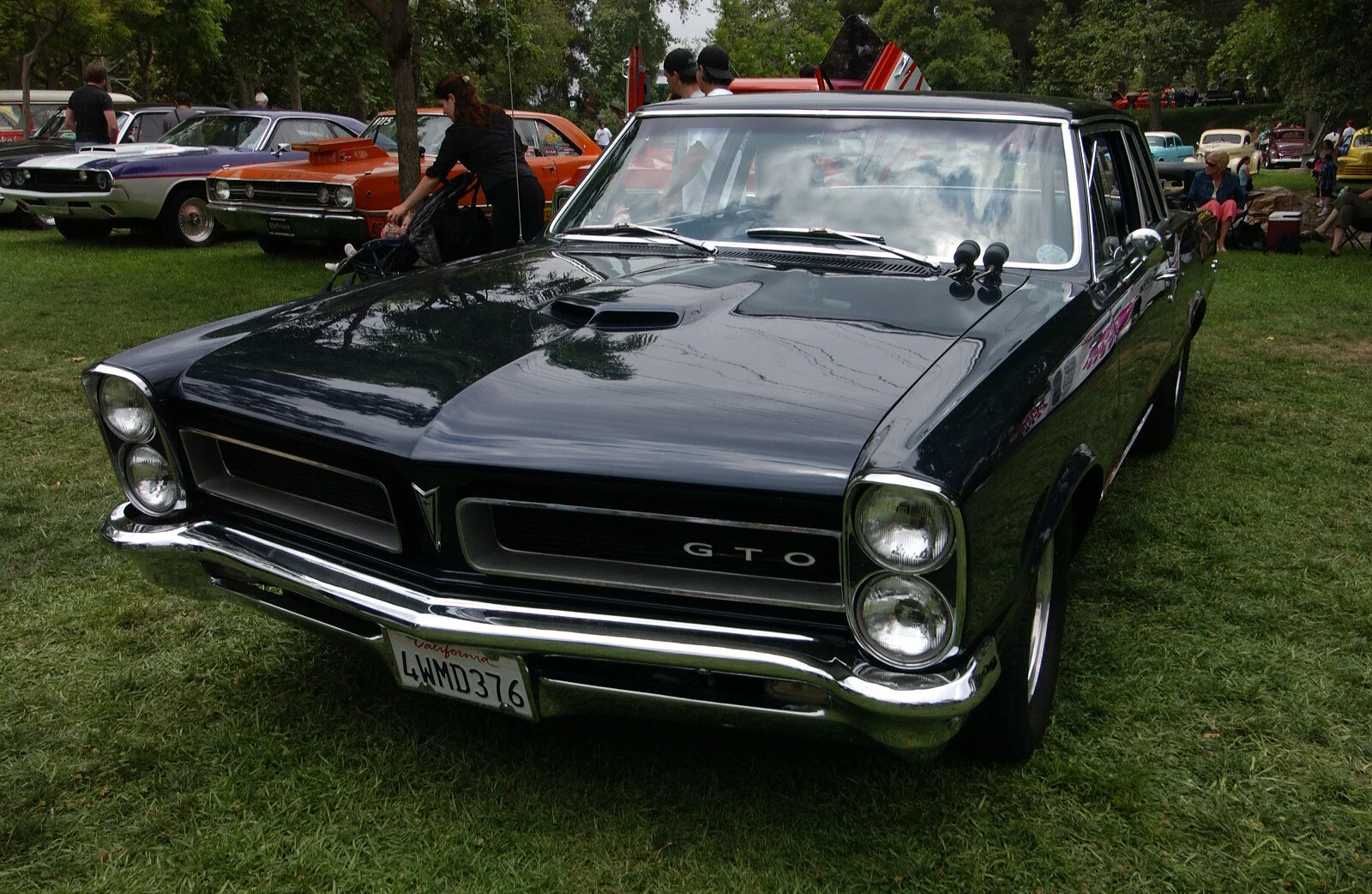 DSC_1852.JPG
