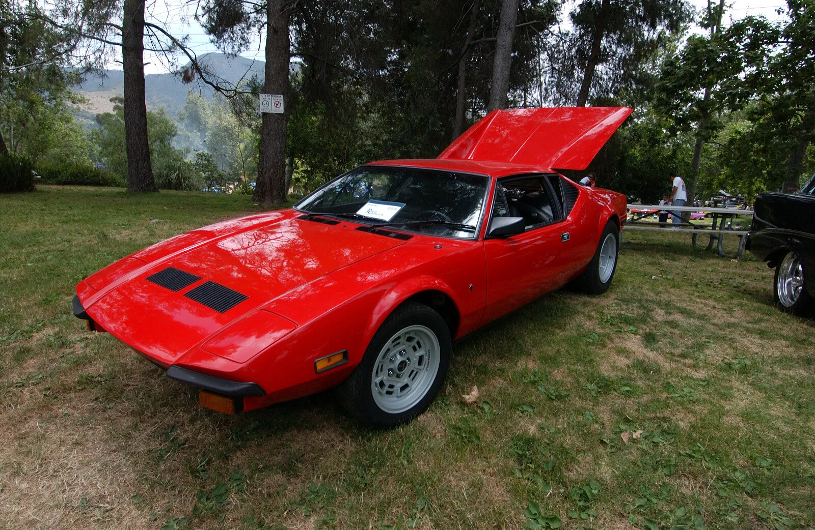 DSC_1855.JPG