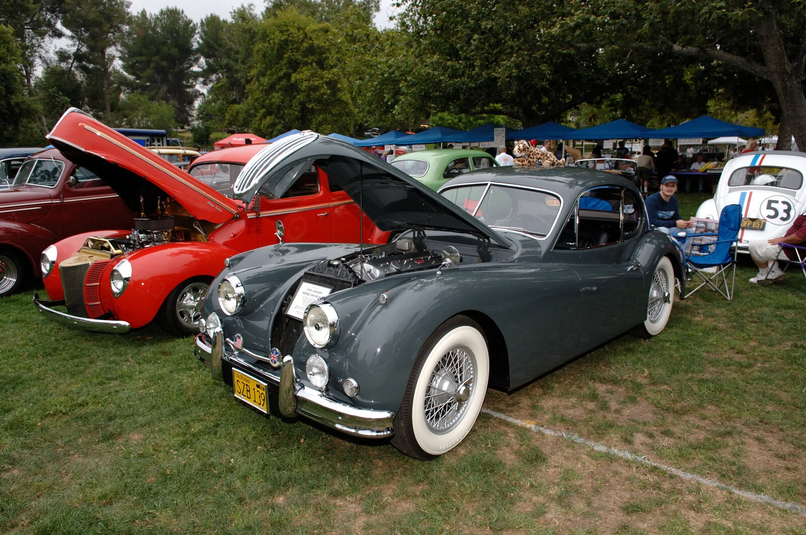 DSC_3592.JPG