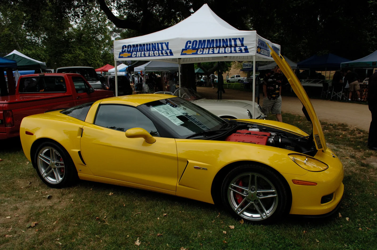 DSC_3611.JPG
