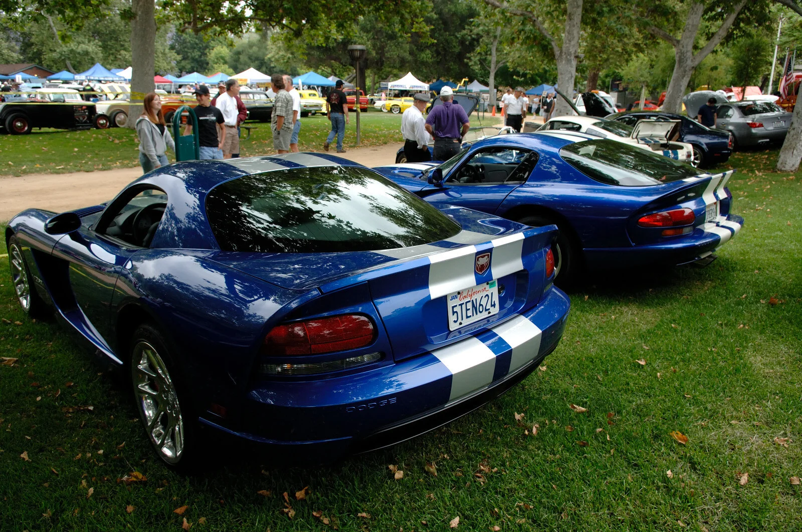 DSC_3610.JPG
