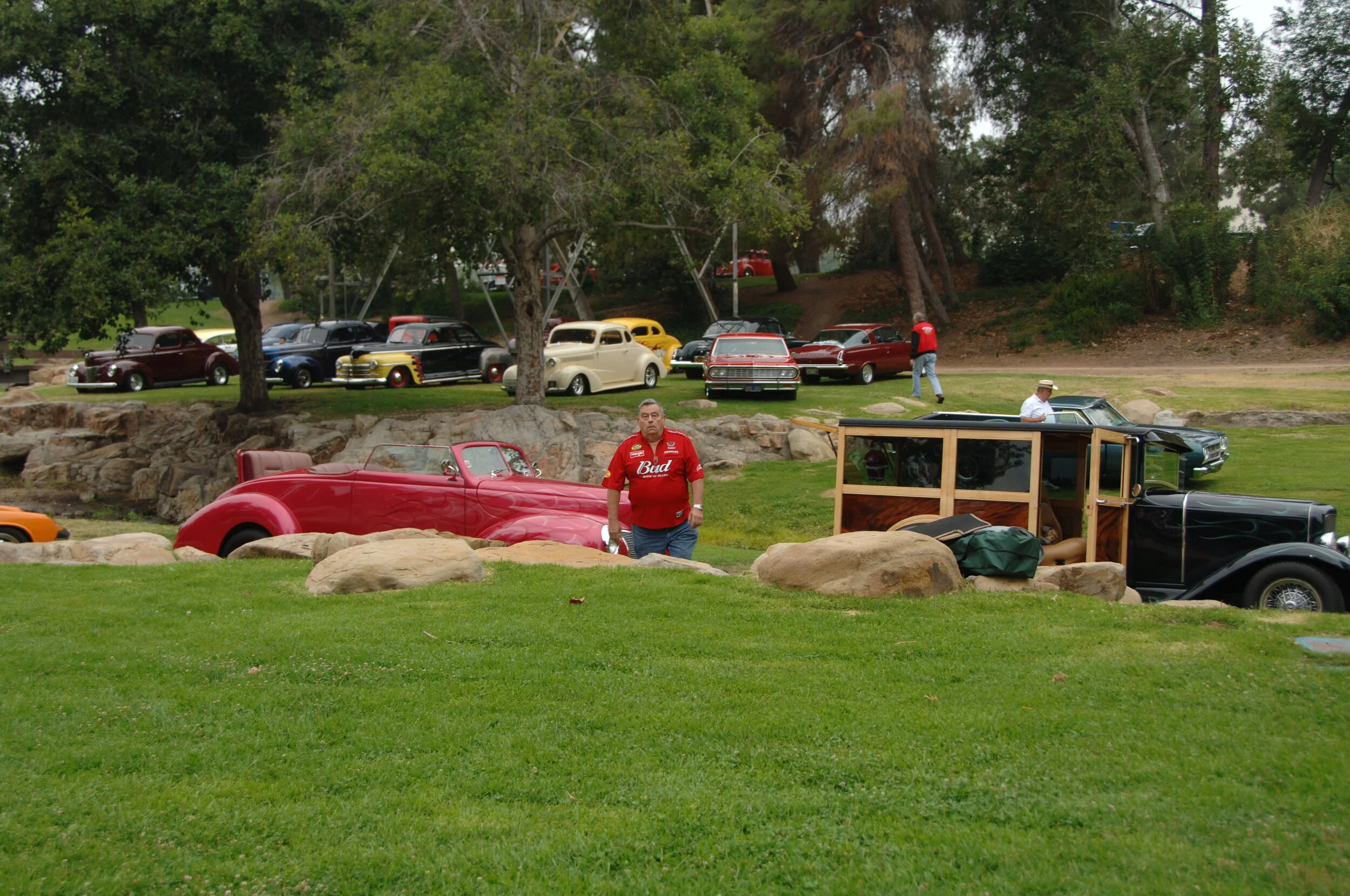 DSC_8329.JPG
