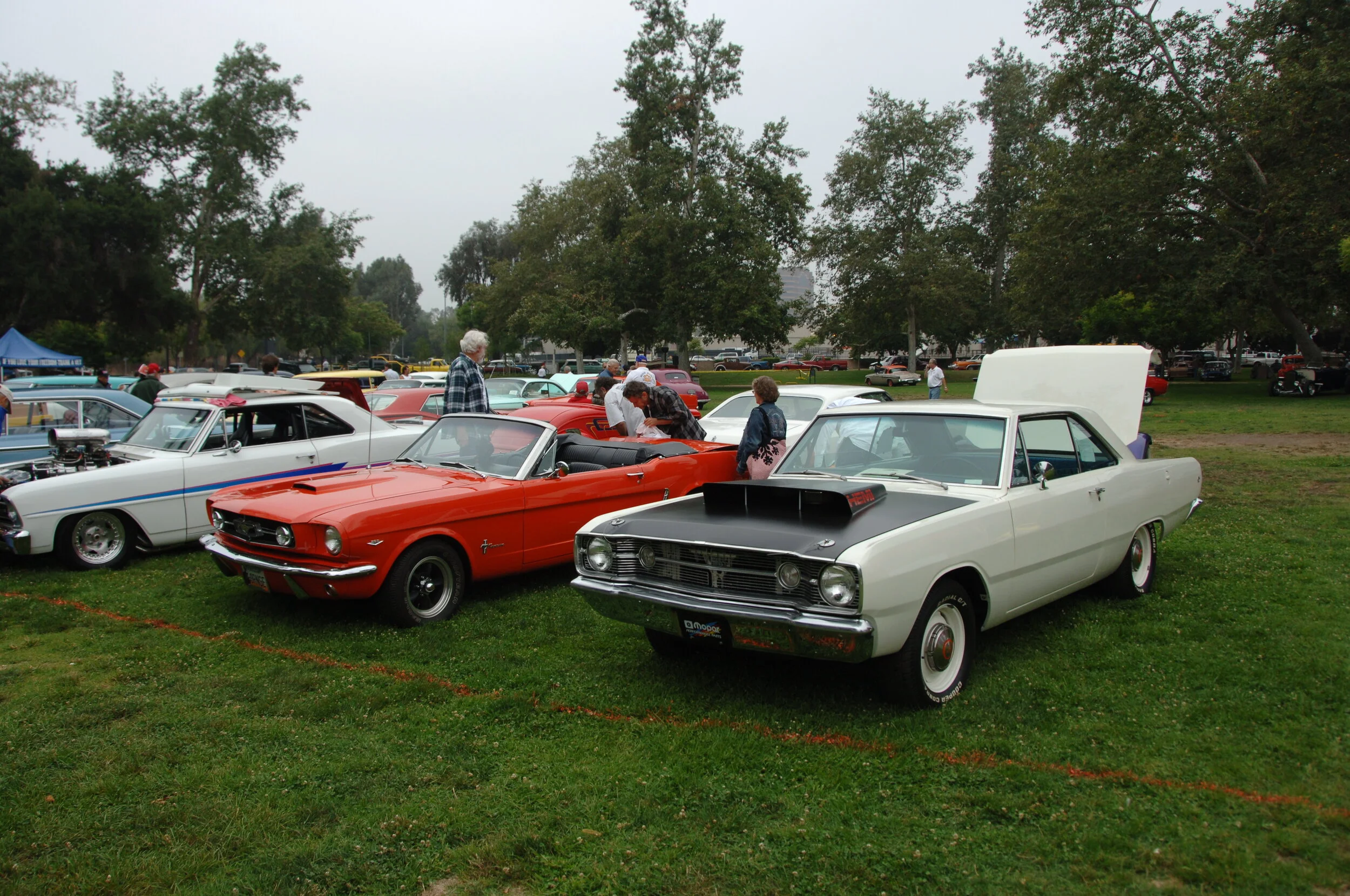 DSC_8330.JPG