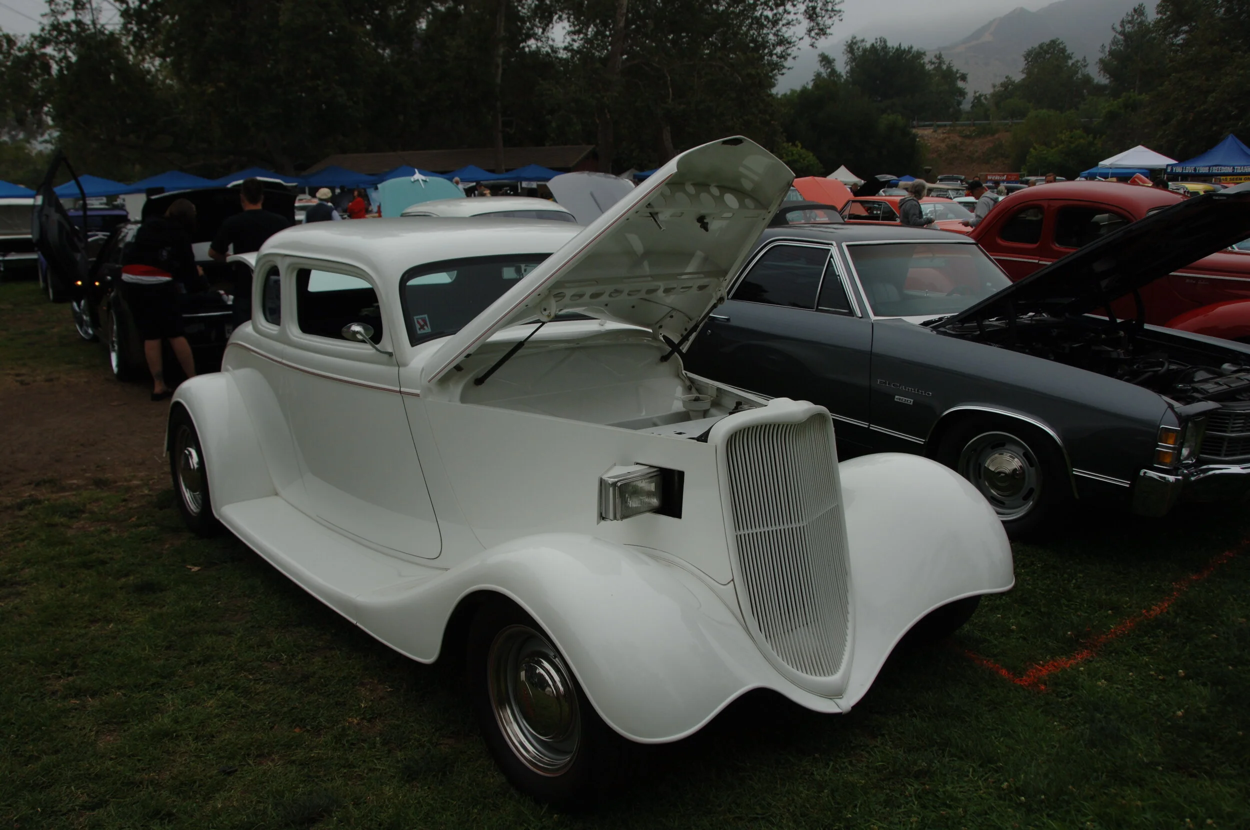 DSC_8349.JPG