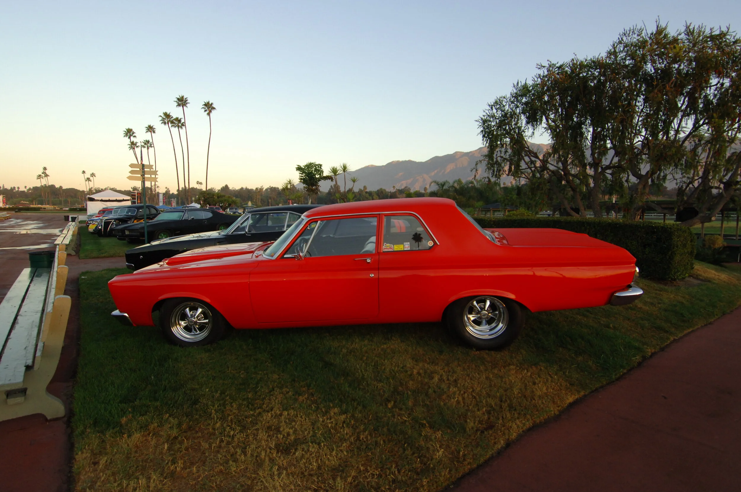 DSC_4606.JPG
