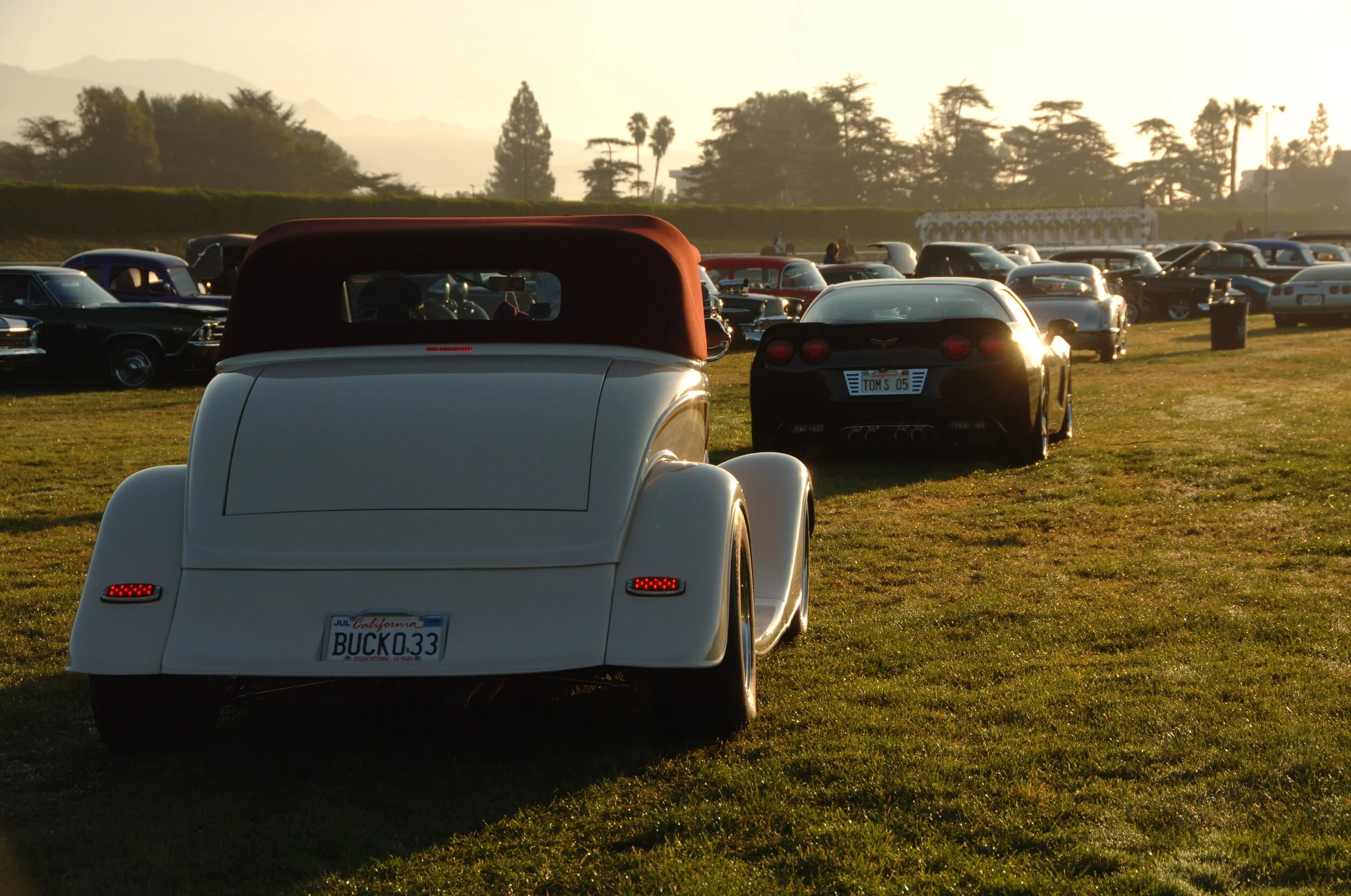 DSC_4666.JPG