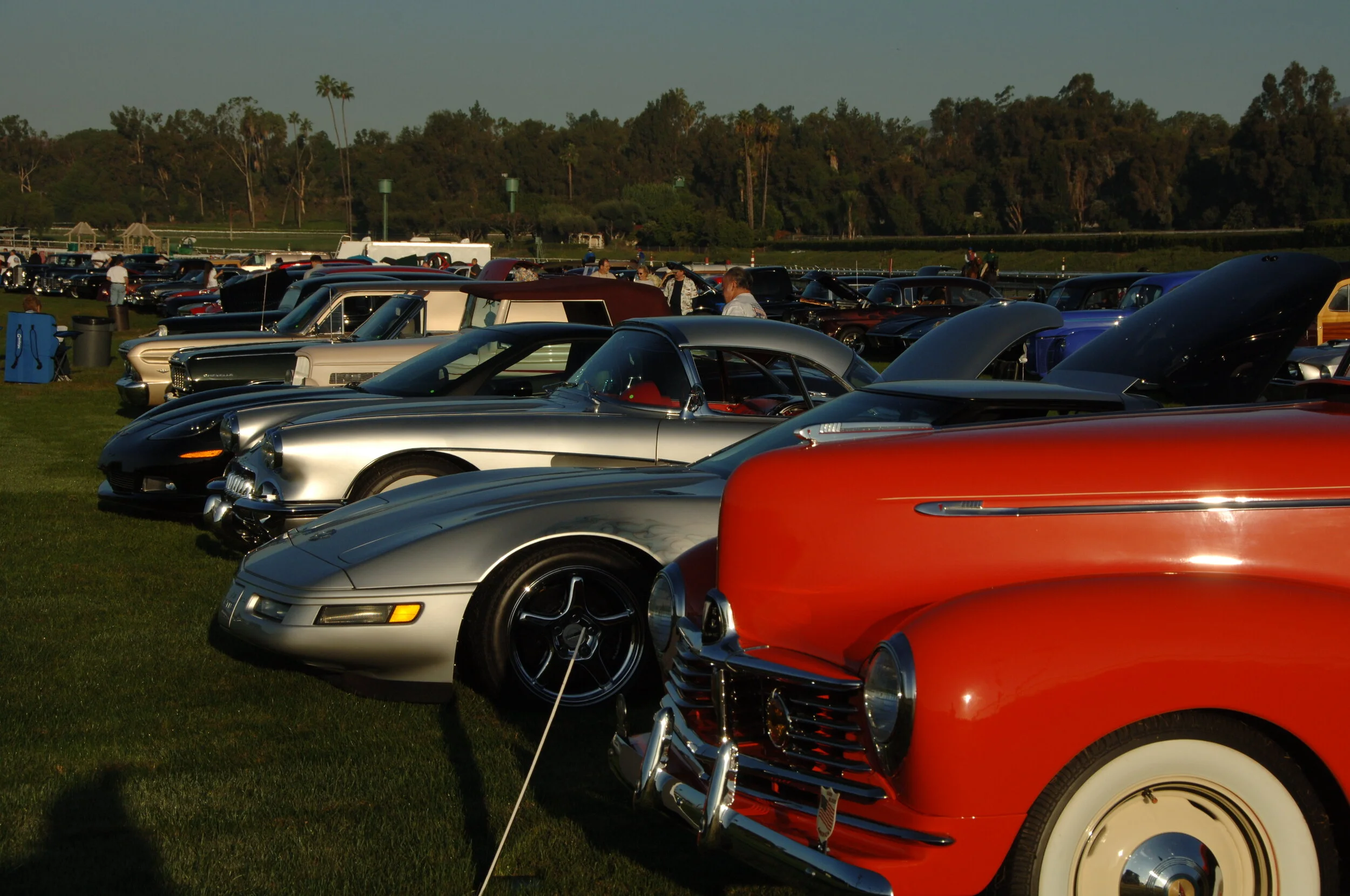 DSC_4683.JPG