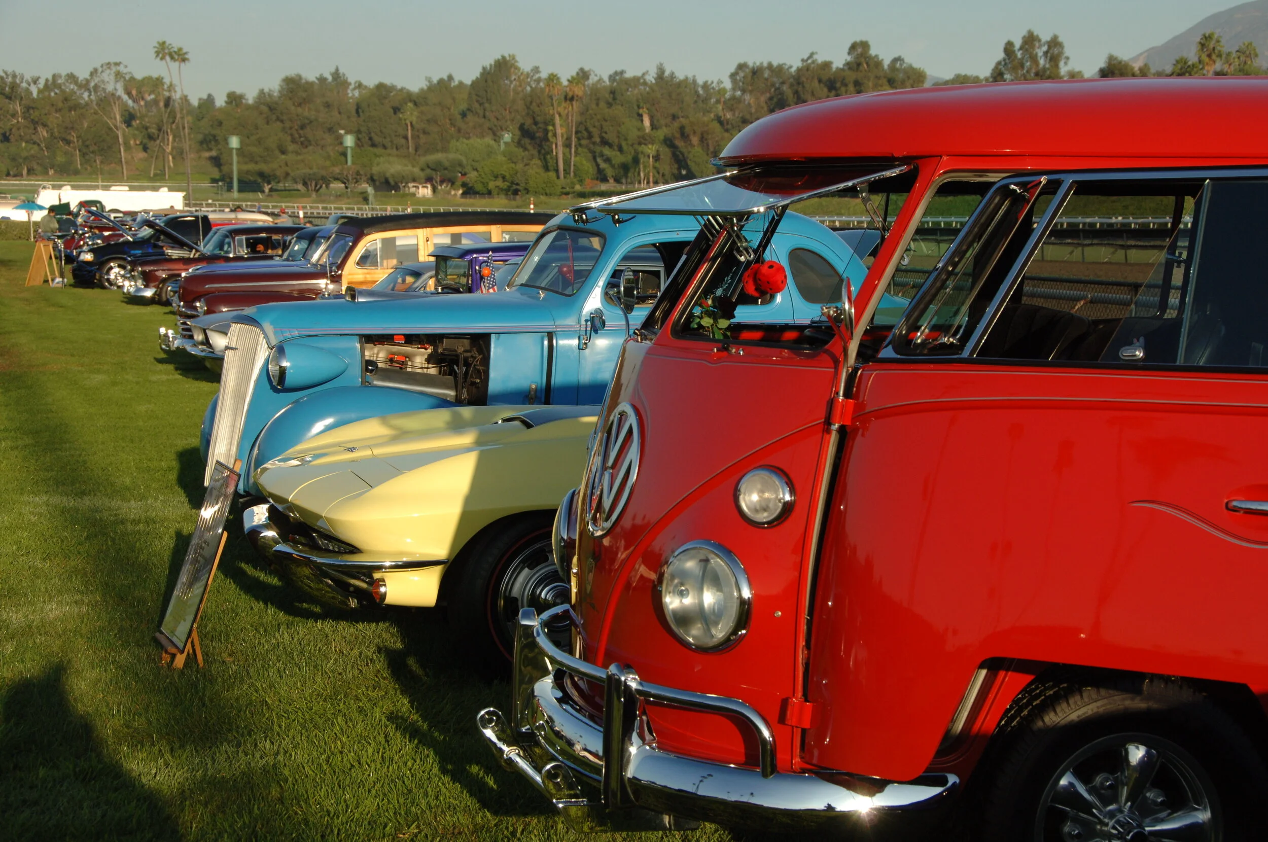 DSC_4684.JPG
