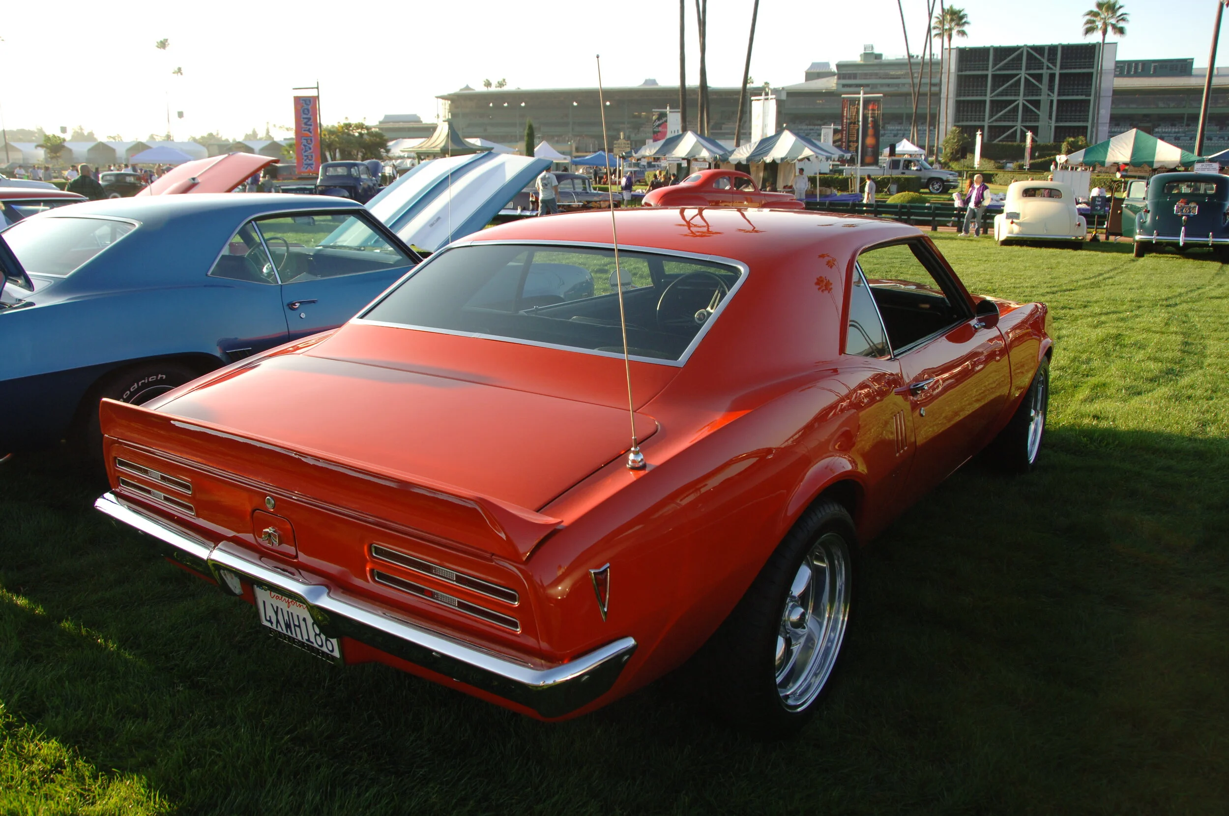 DSC_4698.JPG
