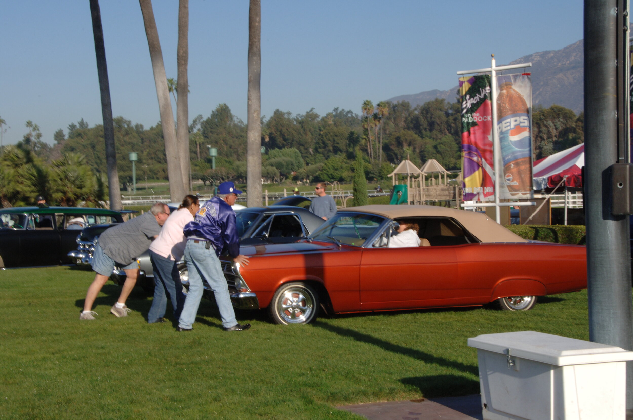 DSC_4715.JPG