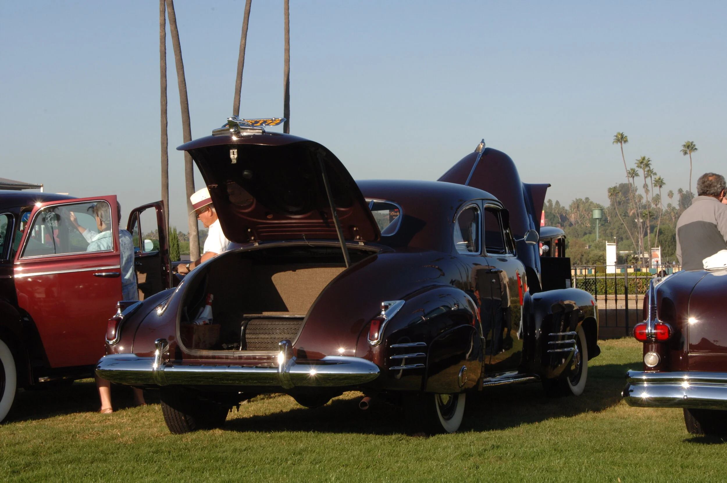 DSC_4716.JPG