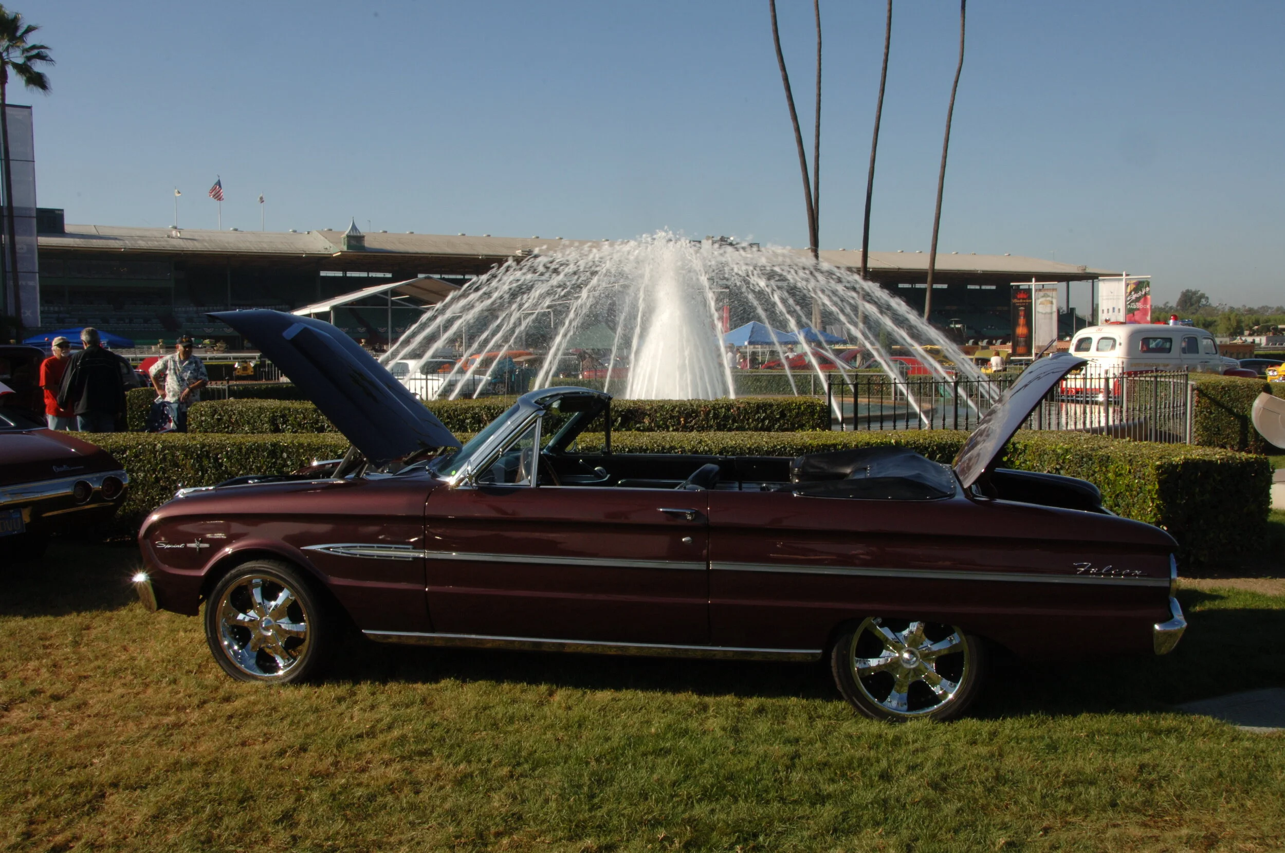 DSC_4725.JPG